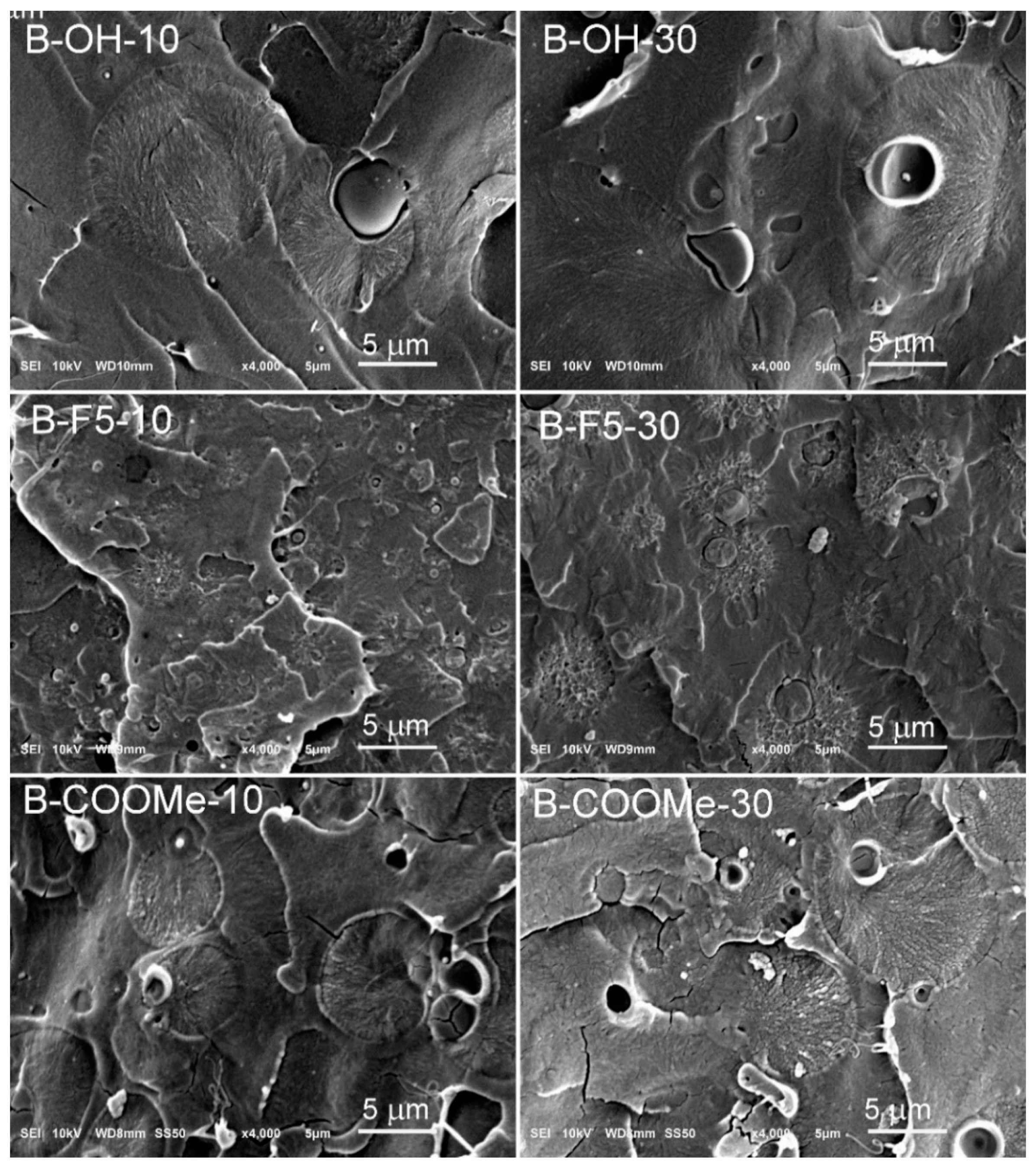 Polymers 13 01033 g004 Polymers 13 01033 g004