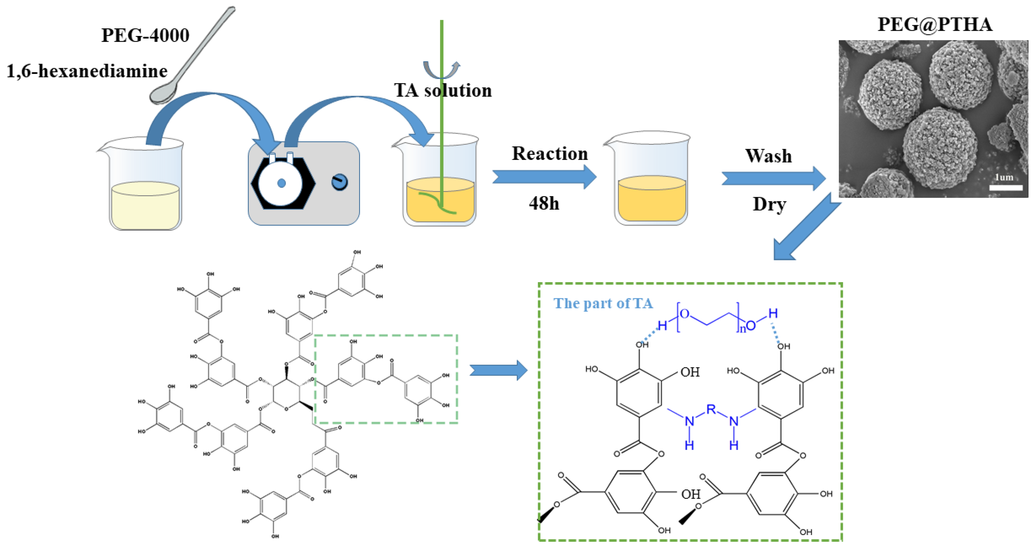 Polymers 13 01035 g001 Polymers 13 01035 g001