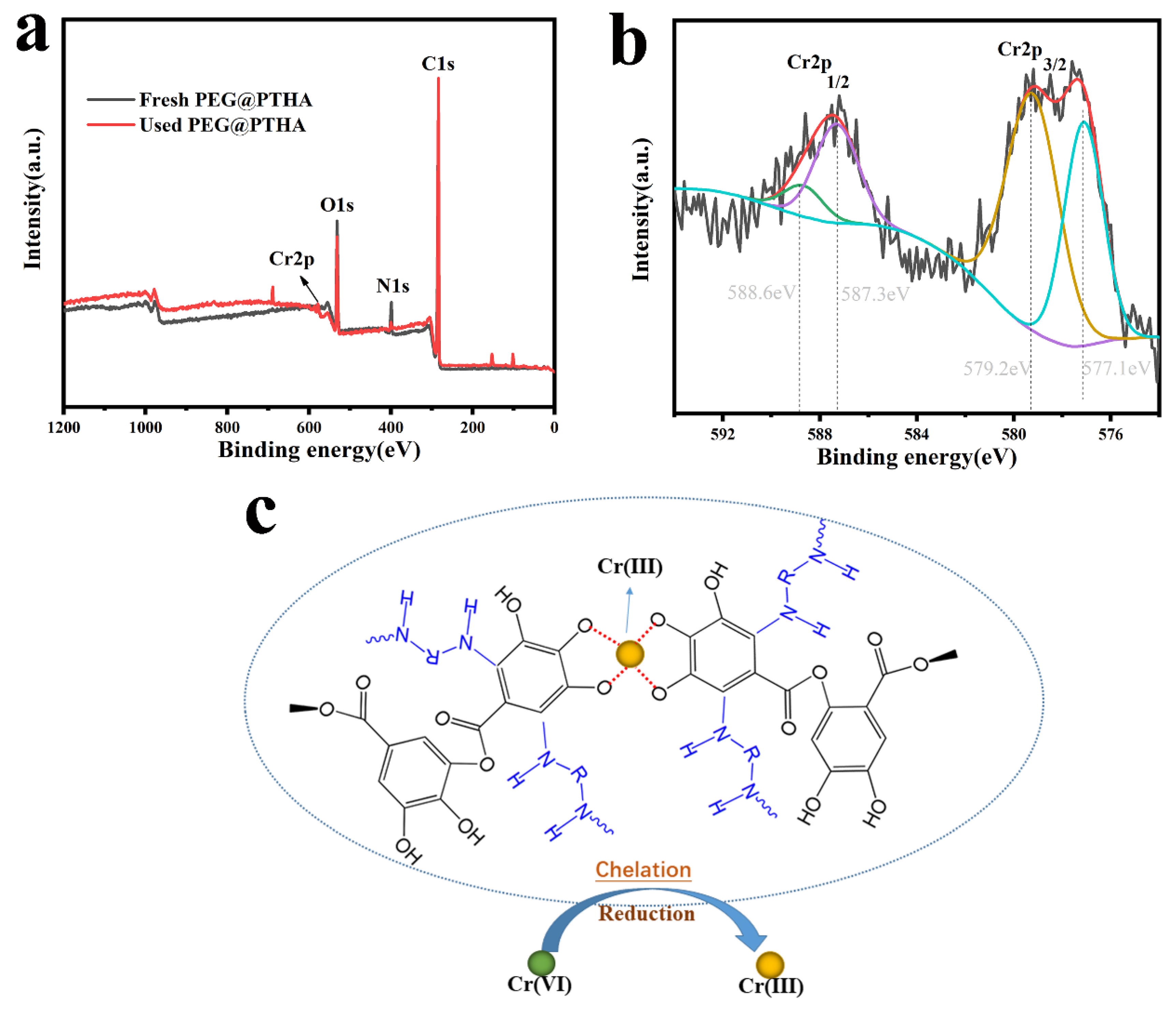 Polymers 13 01035 g007 Polymers 13 01035 g007