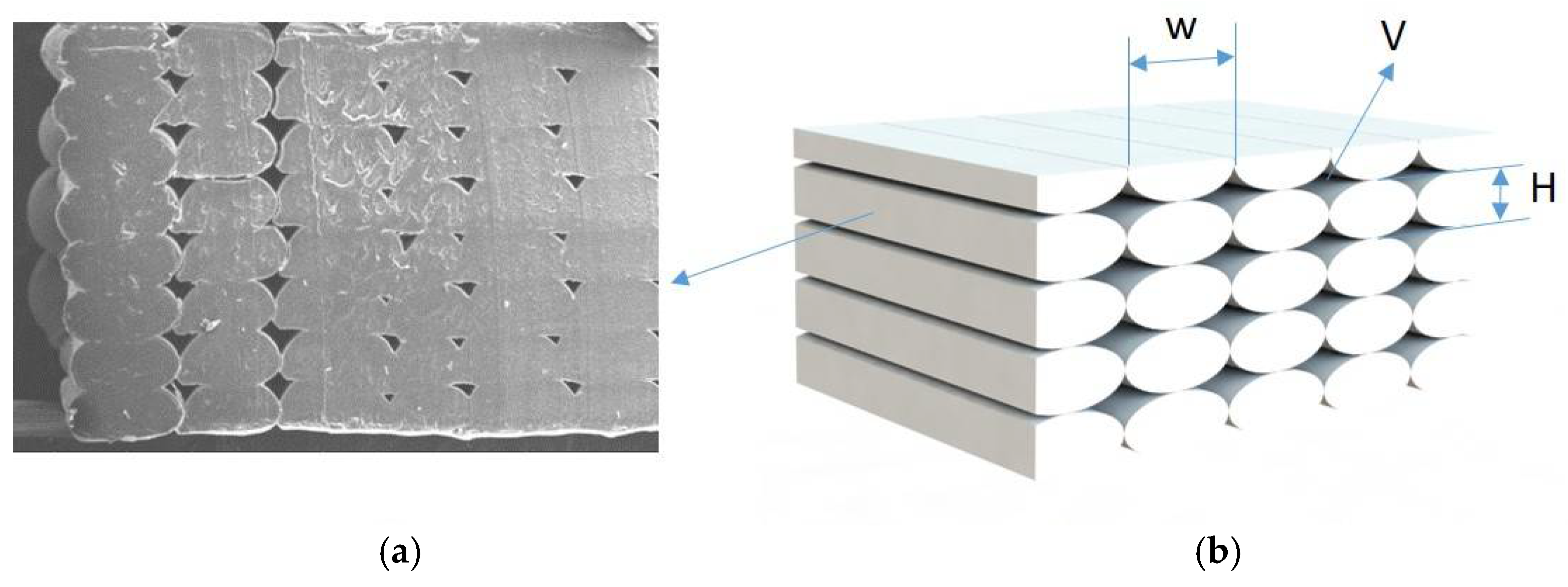 Polymers 13 01036 g004