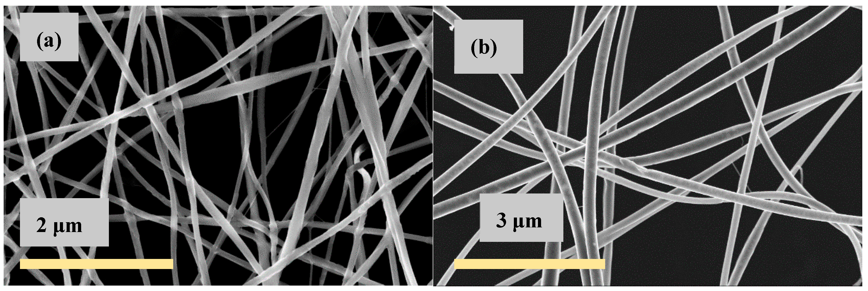 Polymers 13 01037 g001