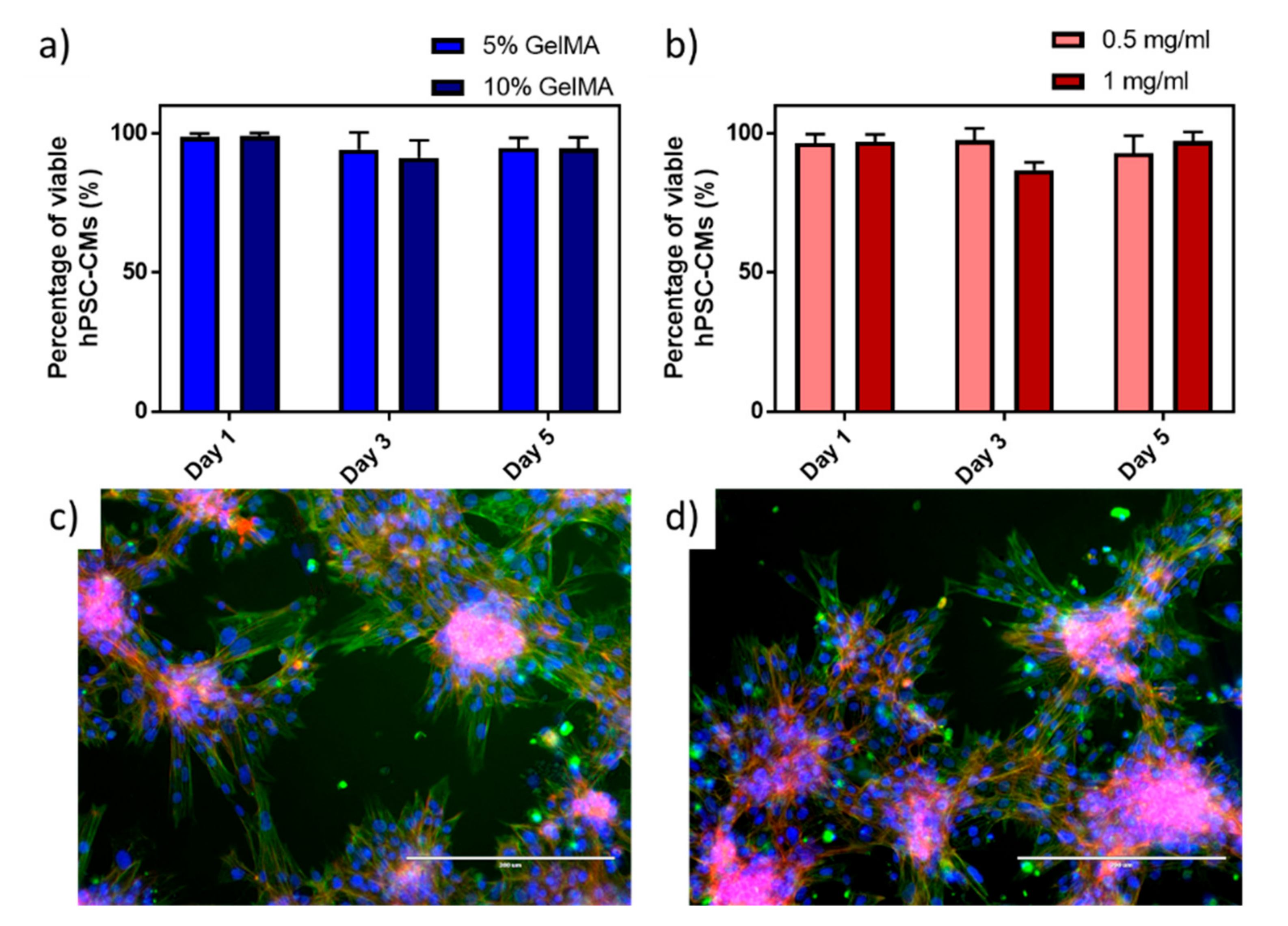 Polymers 13 01038 g003