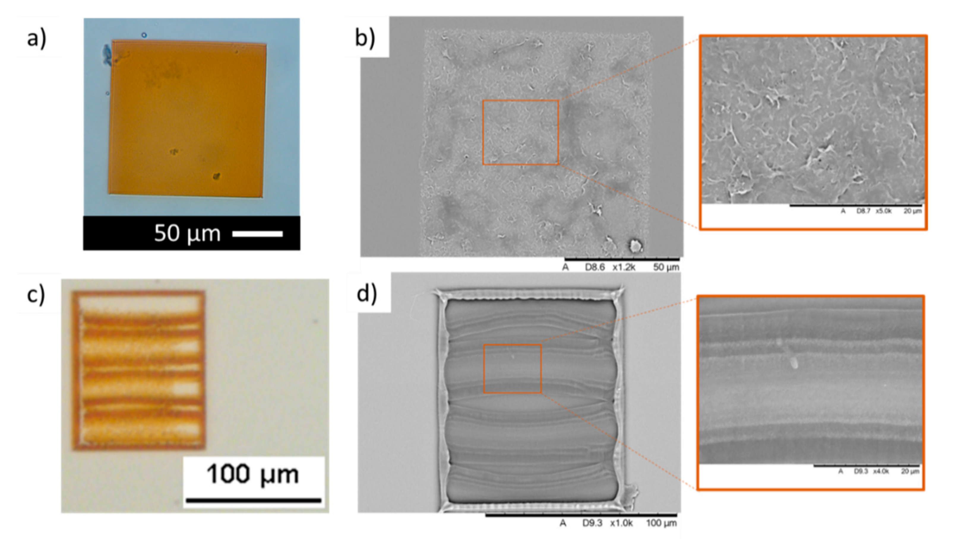 Polymers 13 01038 g004