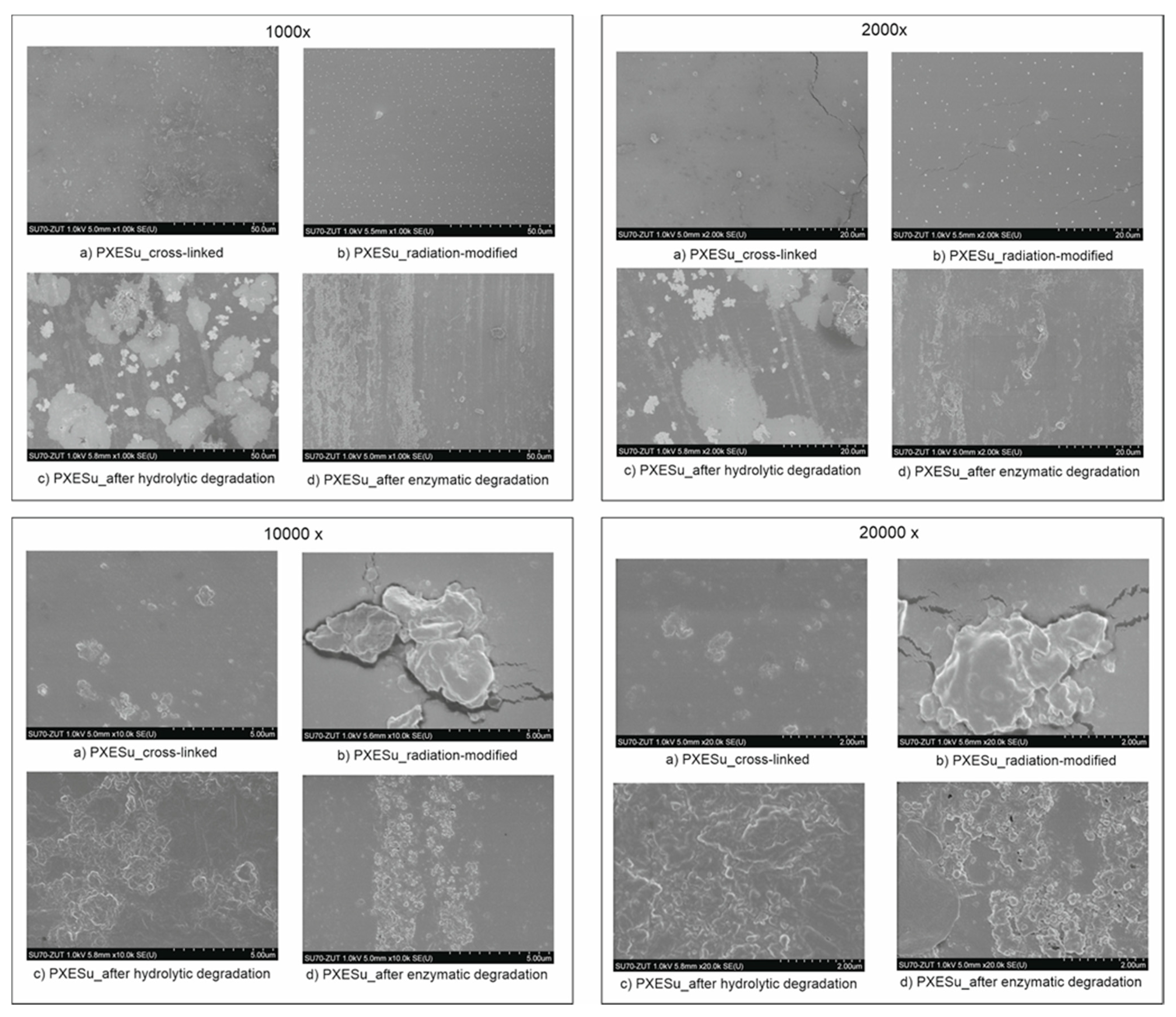 Polymers 13 01041 g016 Polymers 13 01041 g016