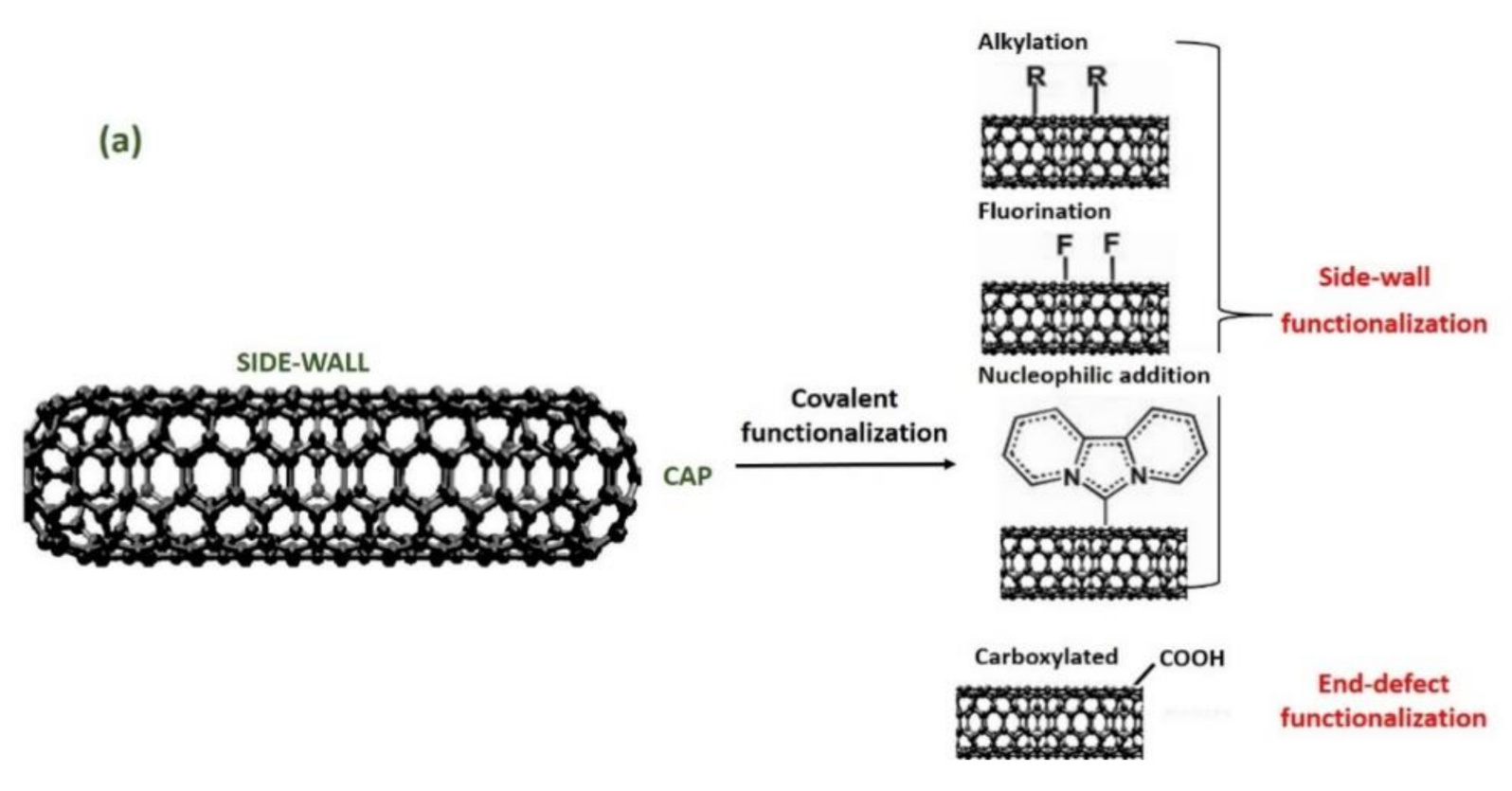 Polymers 13 01047 g001a