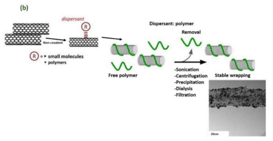 Fabrication, Functionalization, and Application of Carbon Nanotube