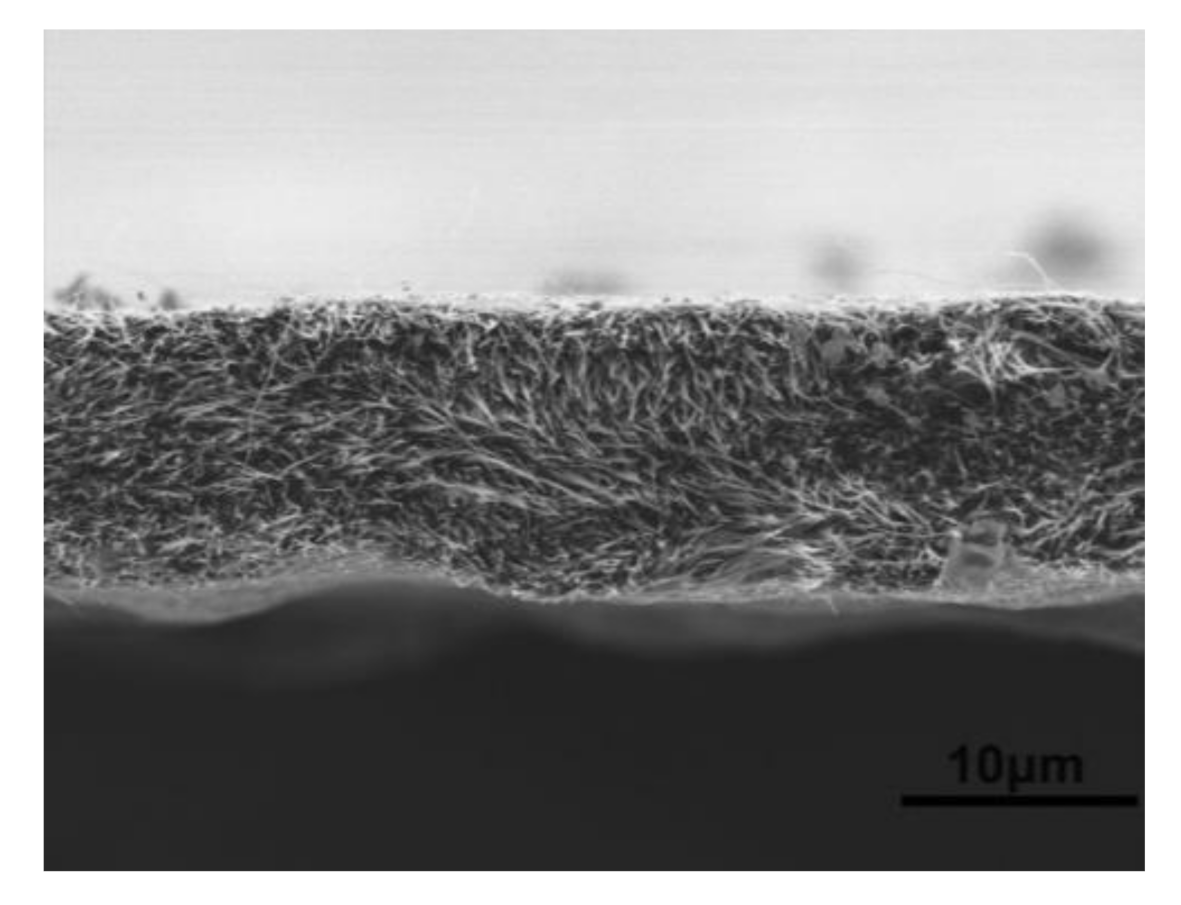 Polymers 13 01047 g009