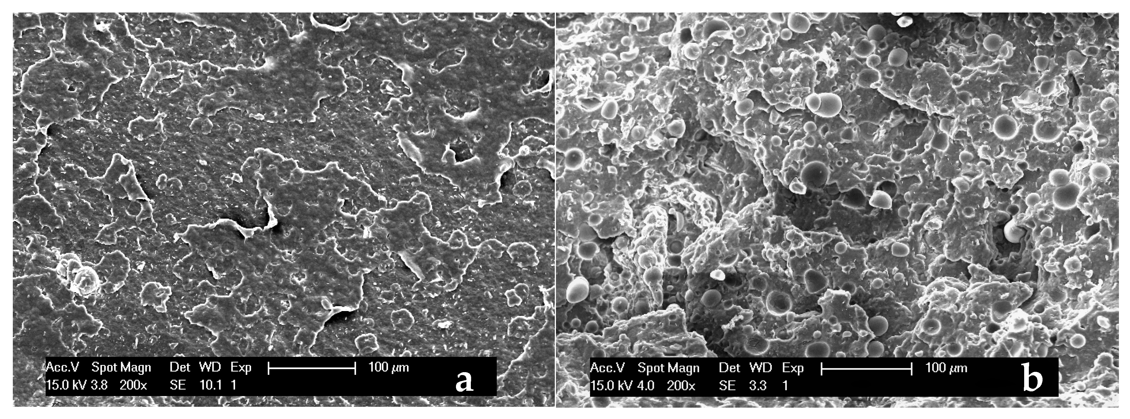 Polymers 13 01048 g012