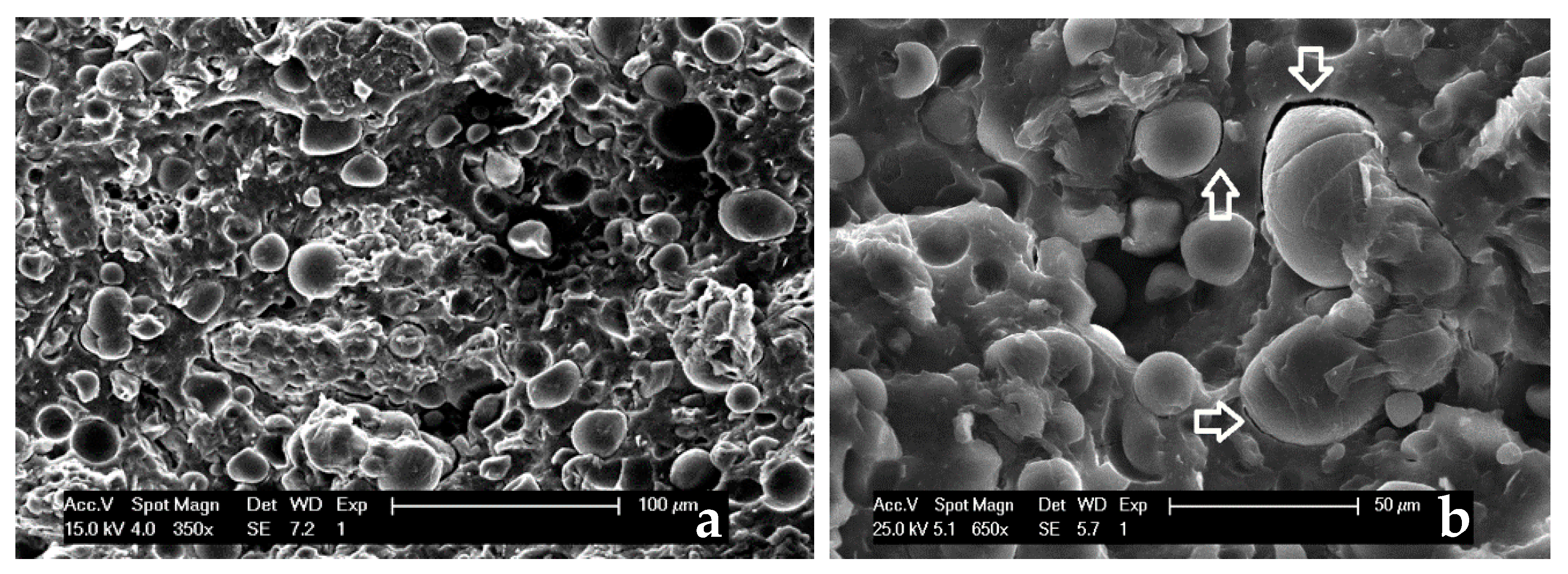 Polymers 13 01048 g013