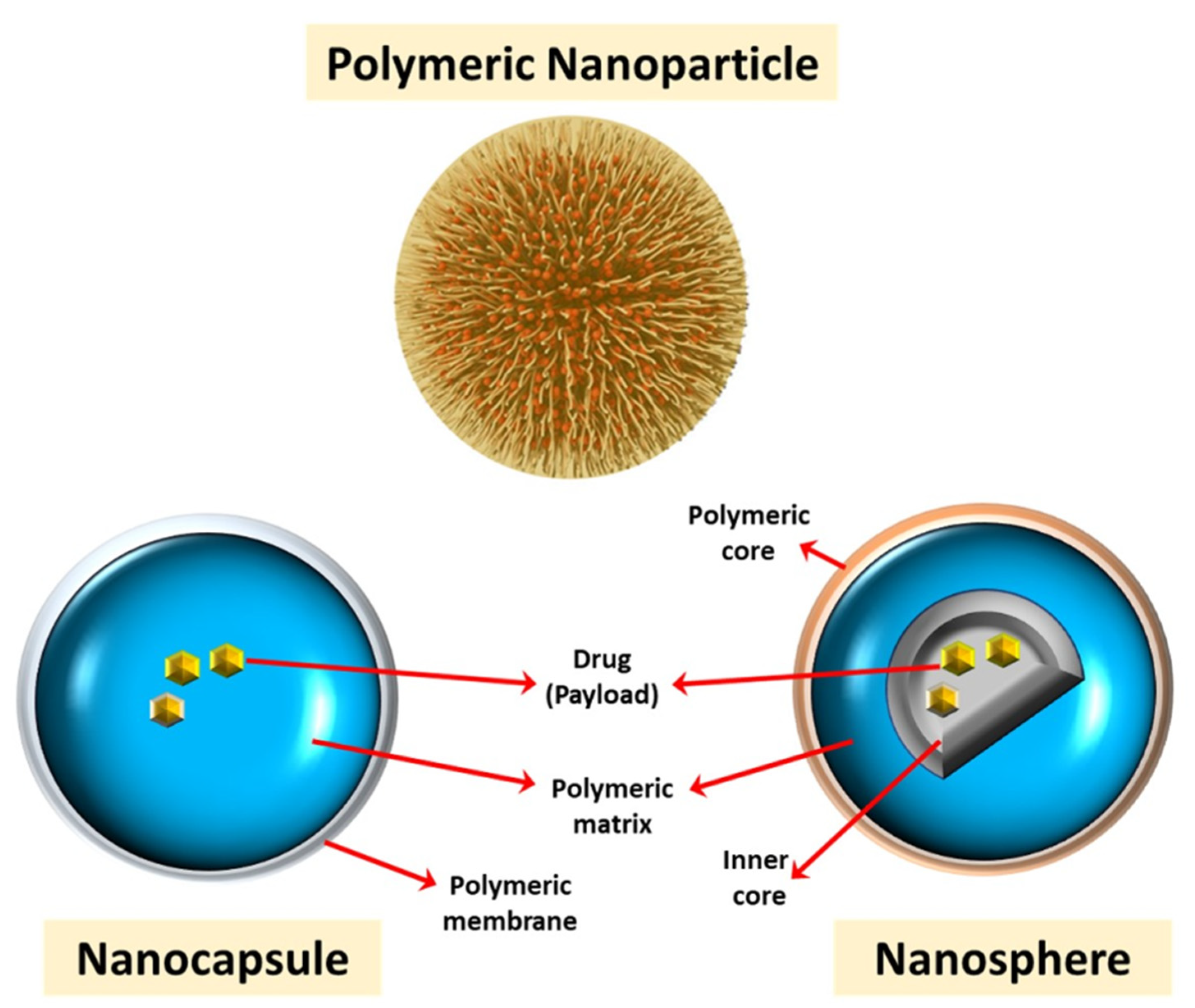 Polymers 13 01051 g002