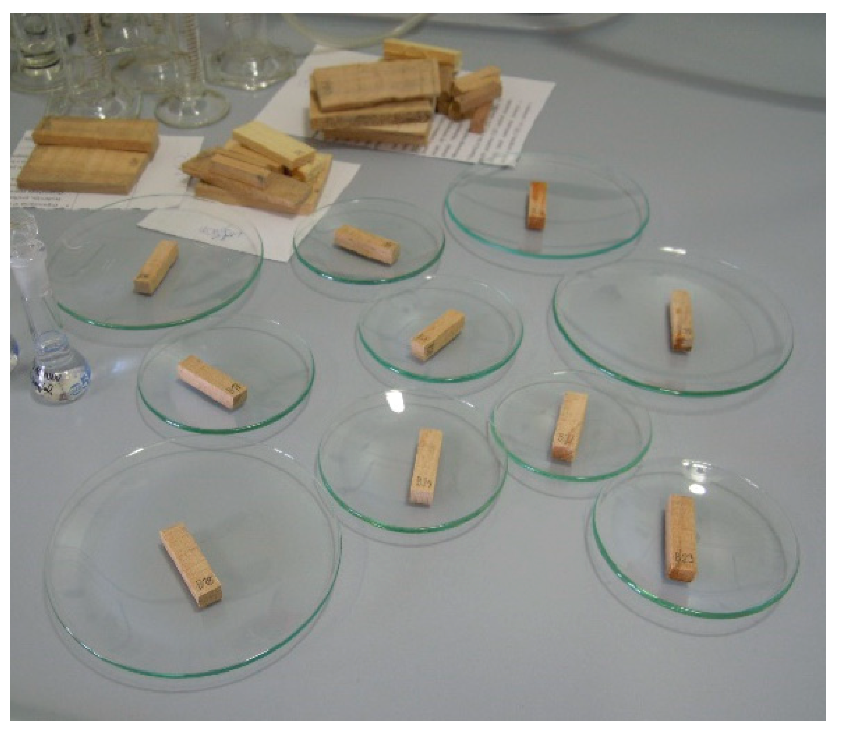 Polymers 13 01052 g001 Polymers 13 01052 g001