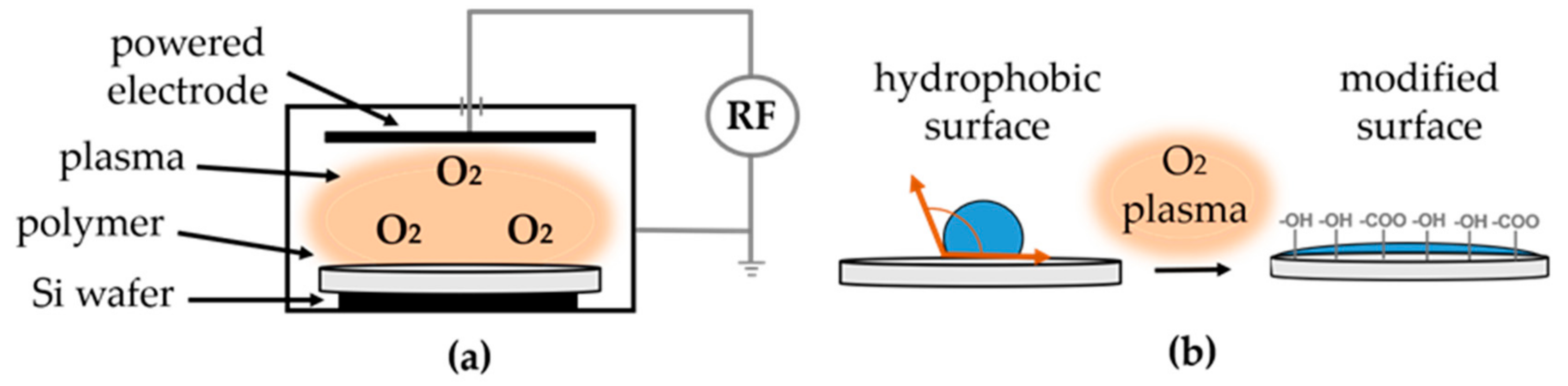 Polymers 13 01056 g001 Polymers 13 01056 g001