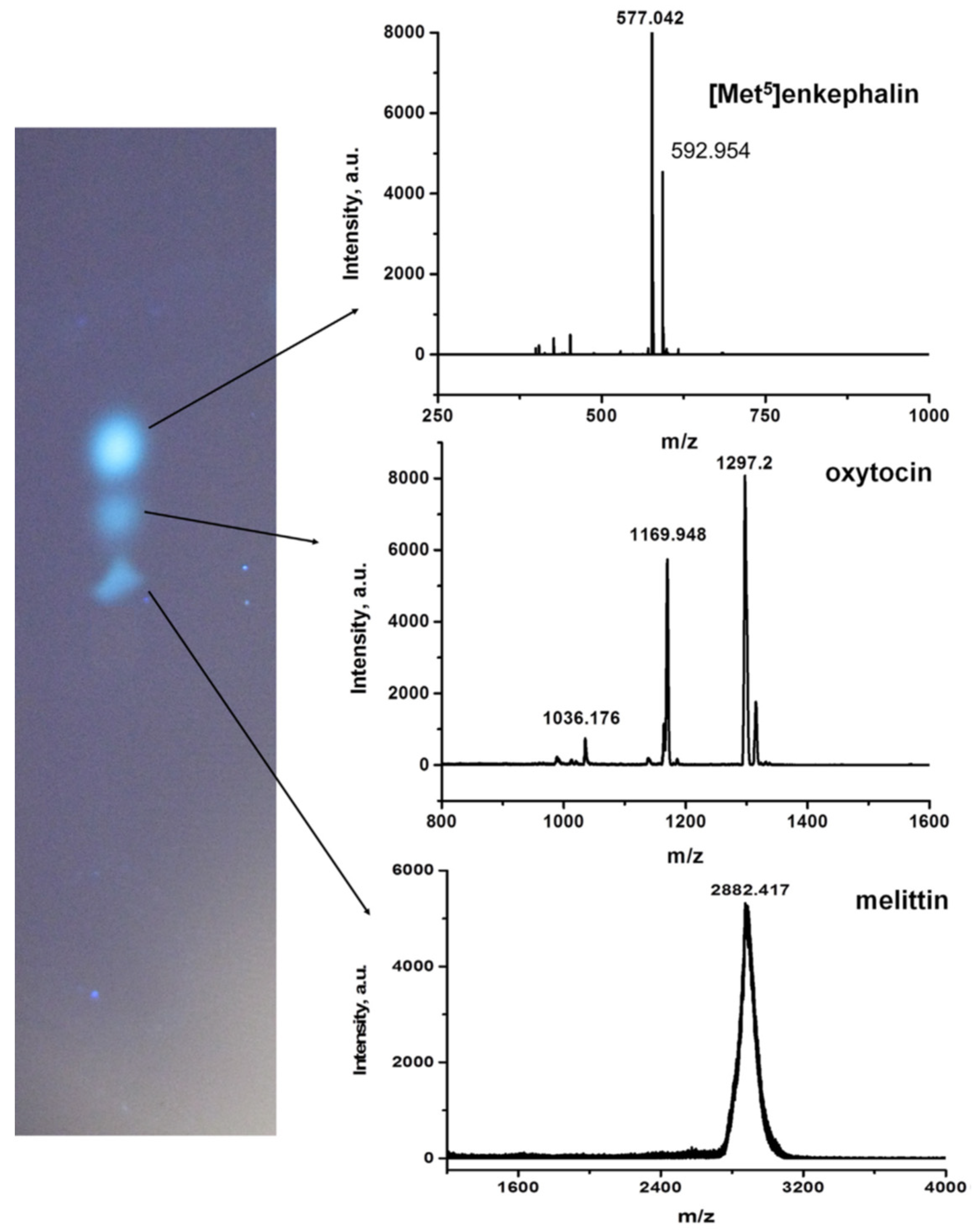 Polymers 13 01059 g006