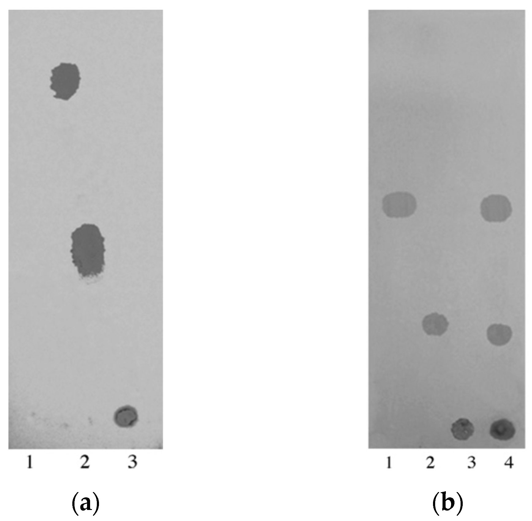 Polymers 13 01059 g007