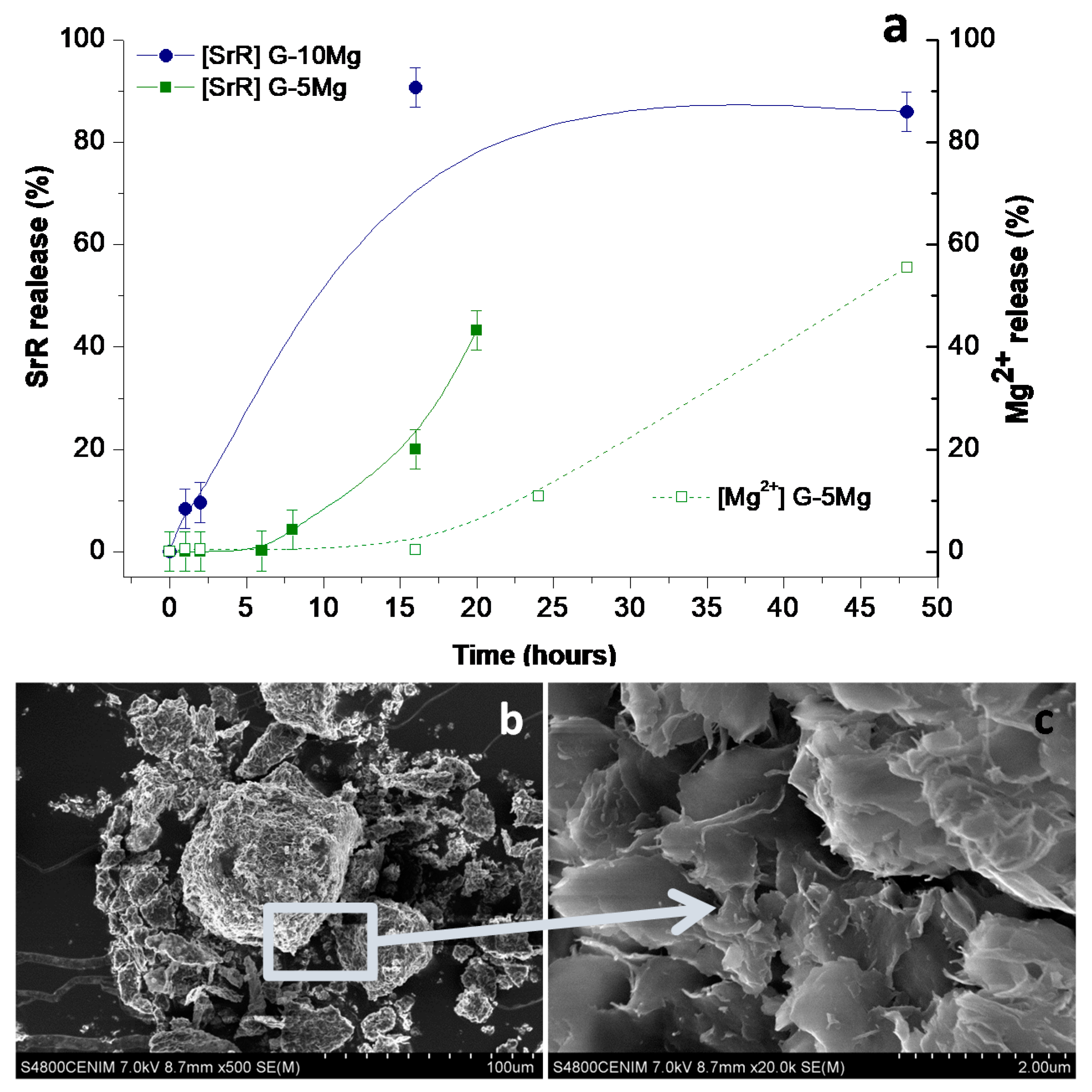 Polymers 13 01061 g004 Polymers 13 01061 g004