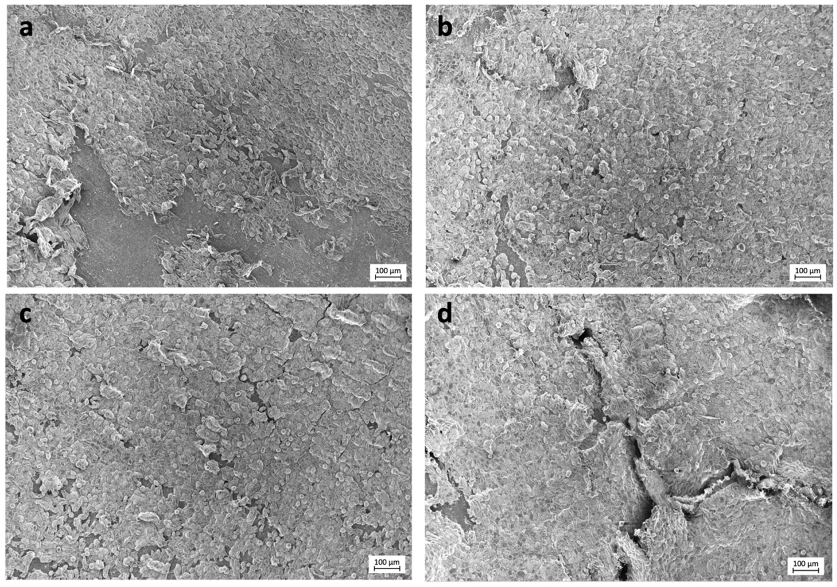 Polymers 13 01063 g003 Polymers 13 01063 g003