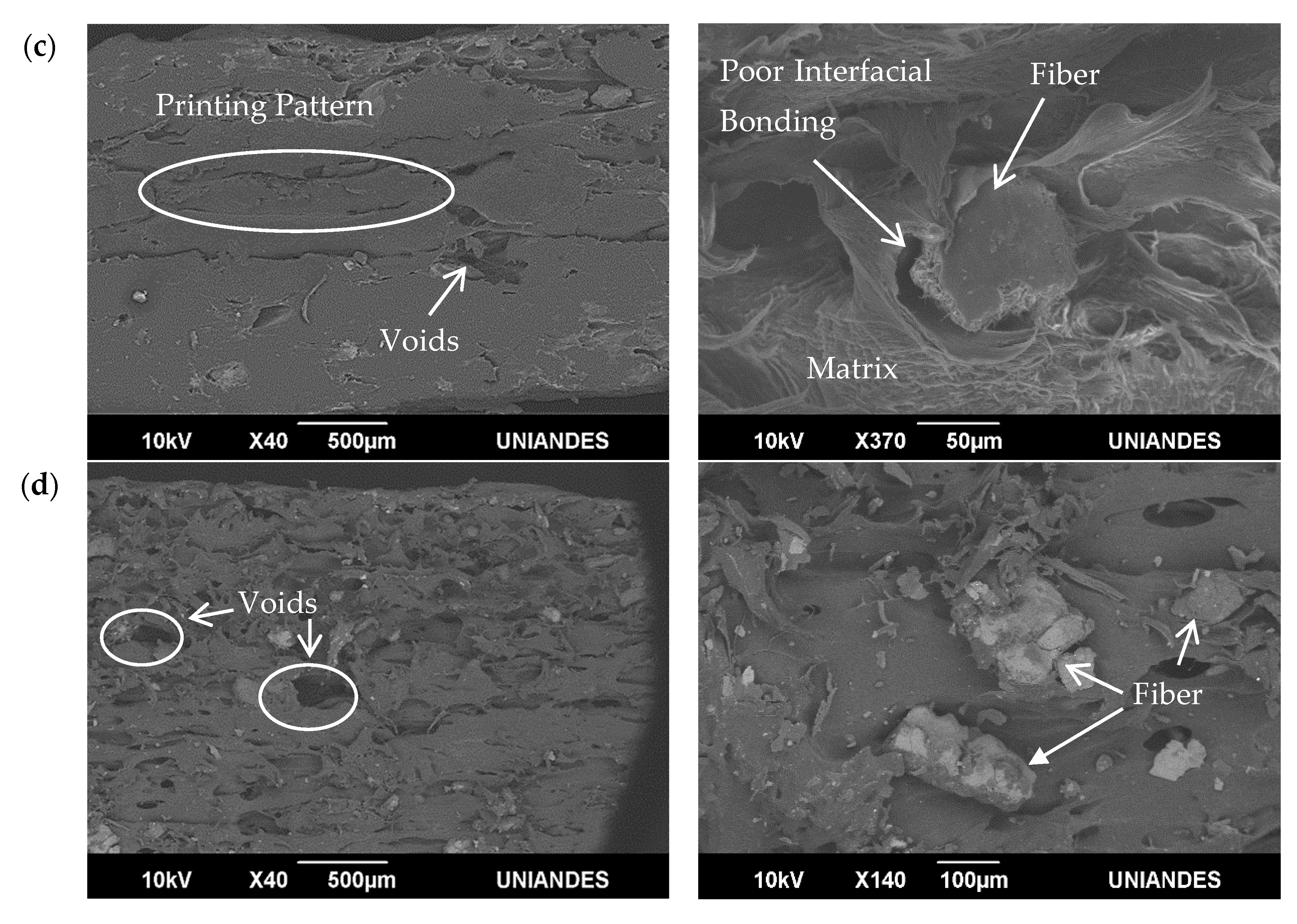 Polymers 13 01067 g008b