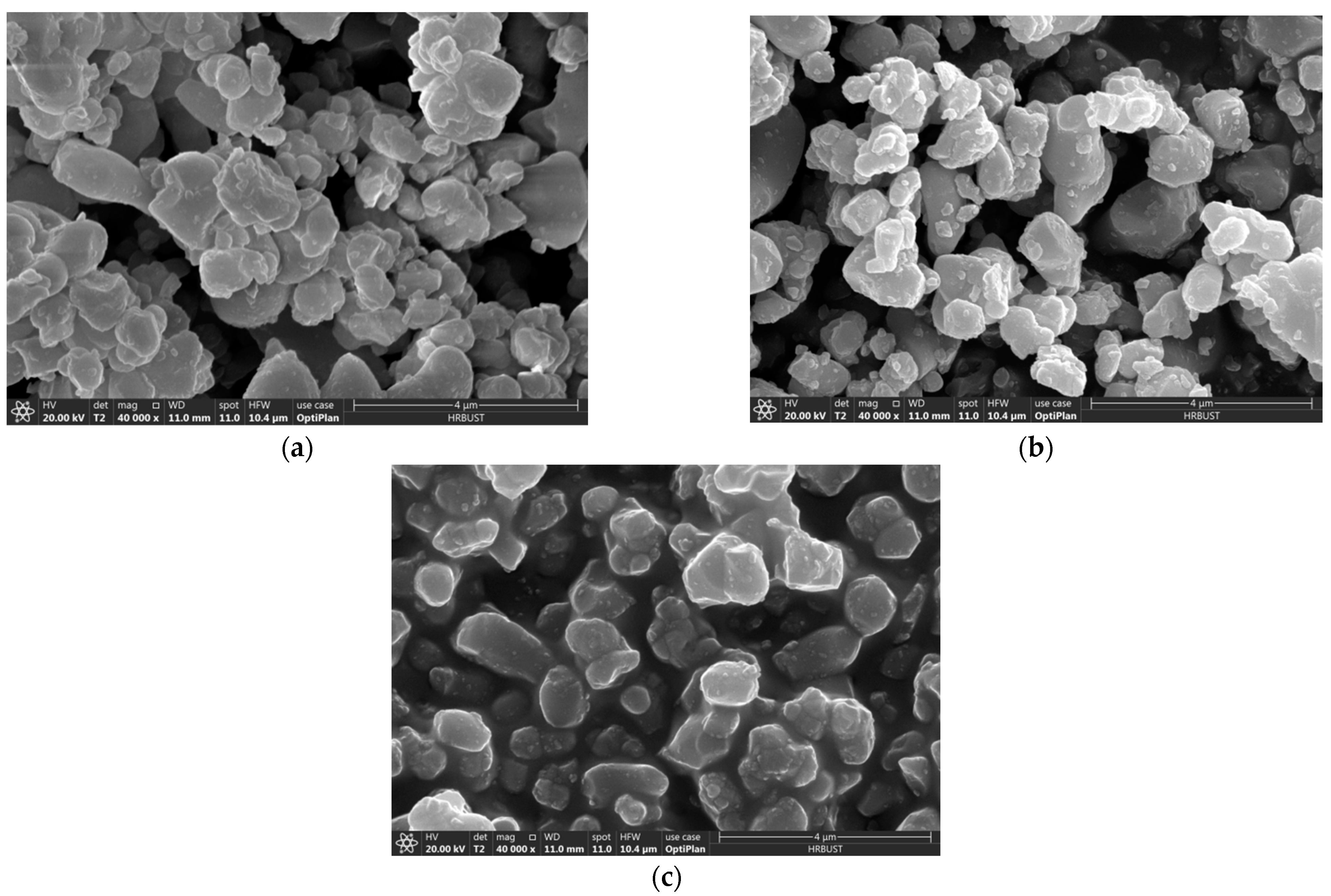 Polymers 13 01075 g004