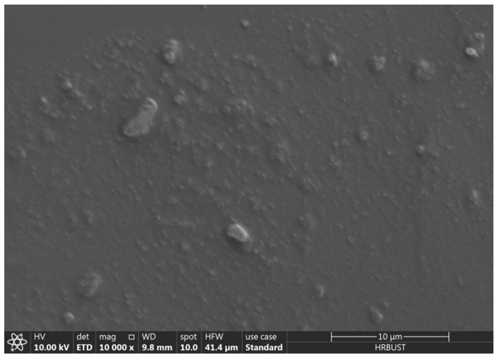 Polymers 13 01075 g008