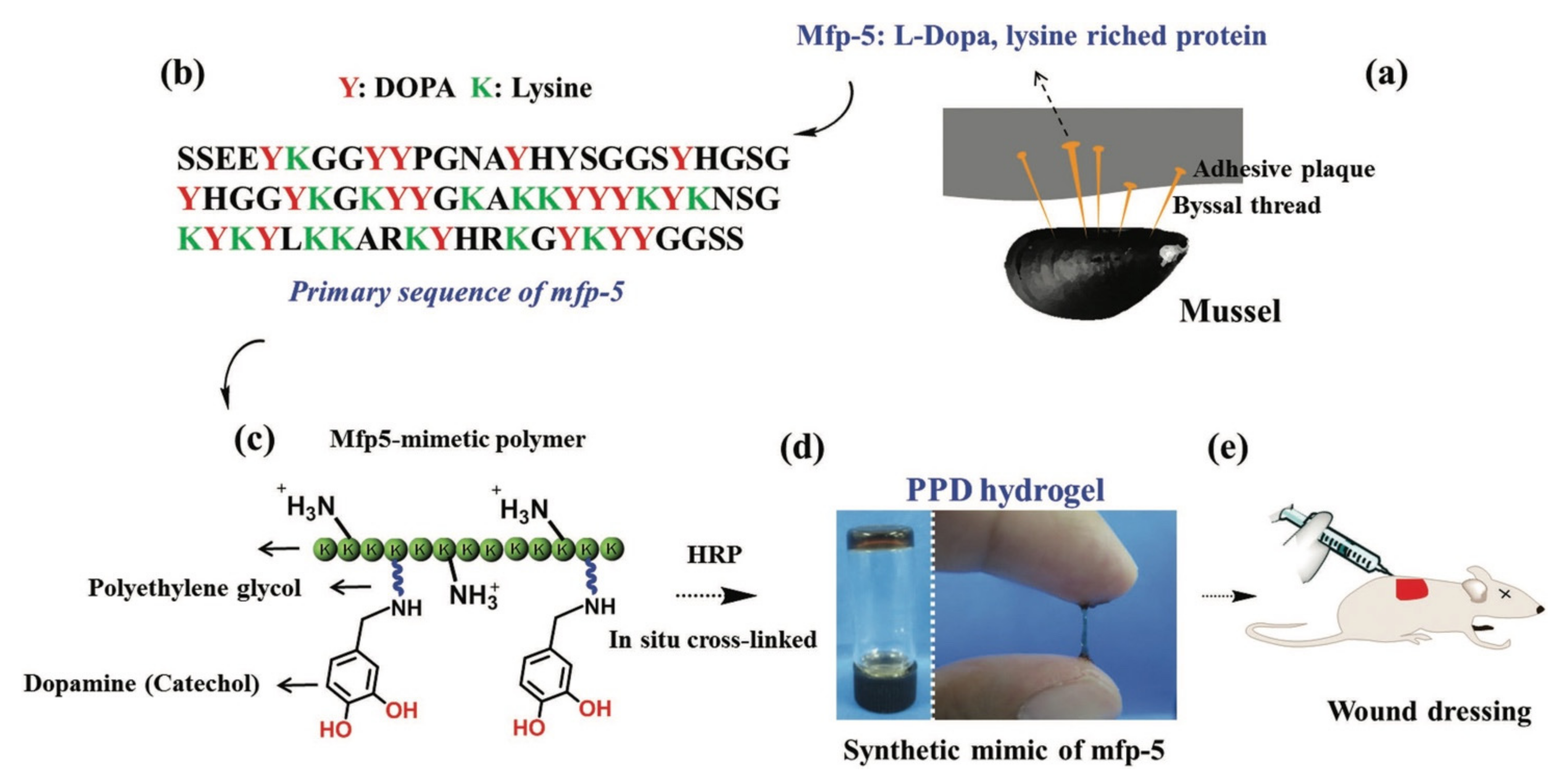 Polymers 13 01081 g016
