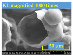 Polymers 13 01083 i003 Polymers 13 01083 i003