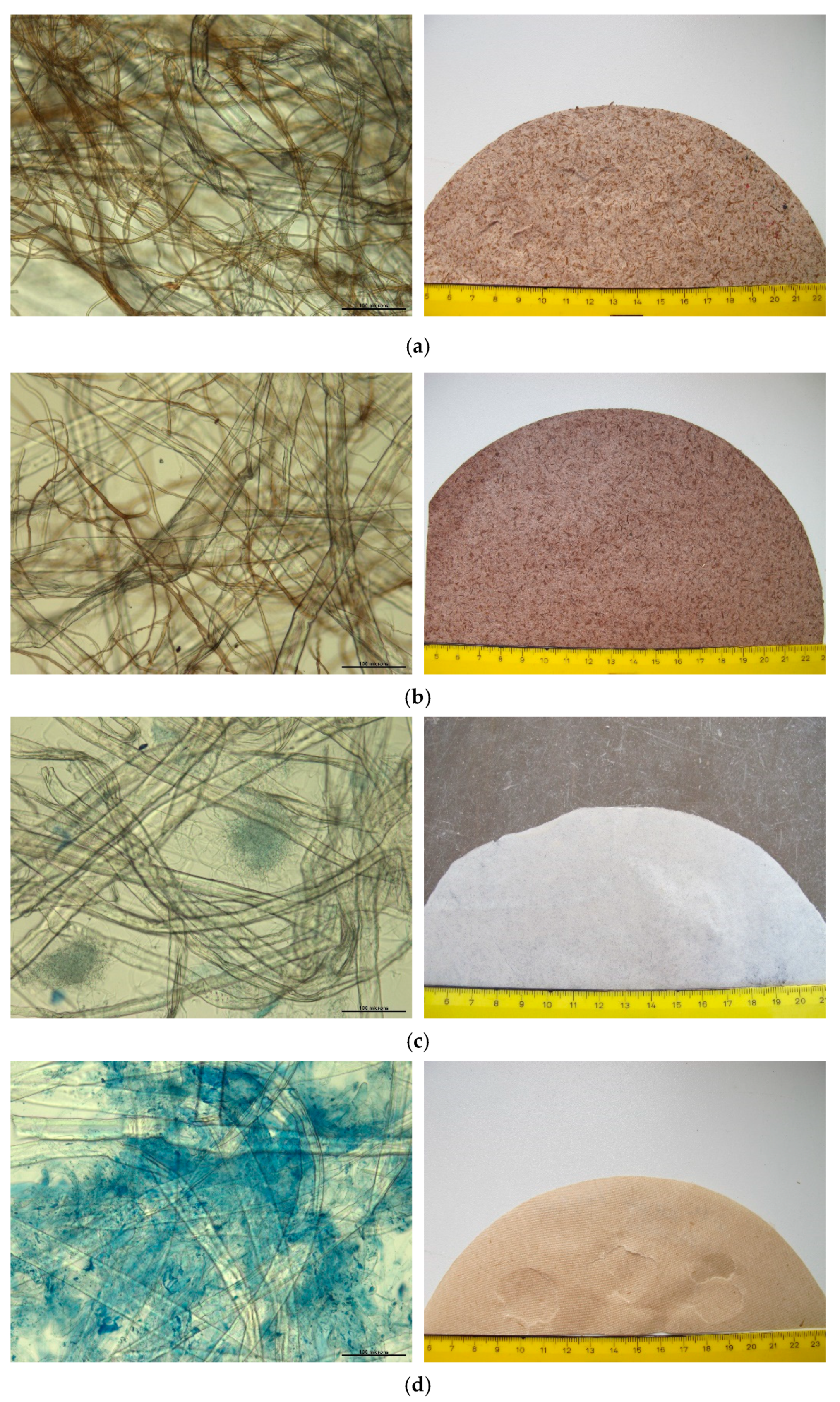 Polymers 13 01086 g002a
