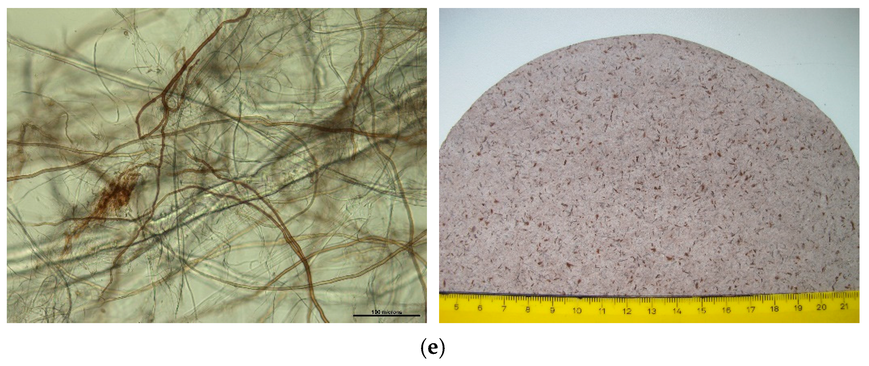 Polymers 13 01086 g002b
