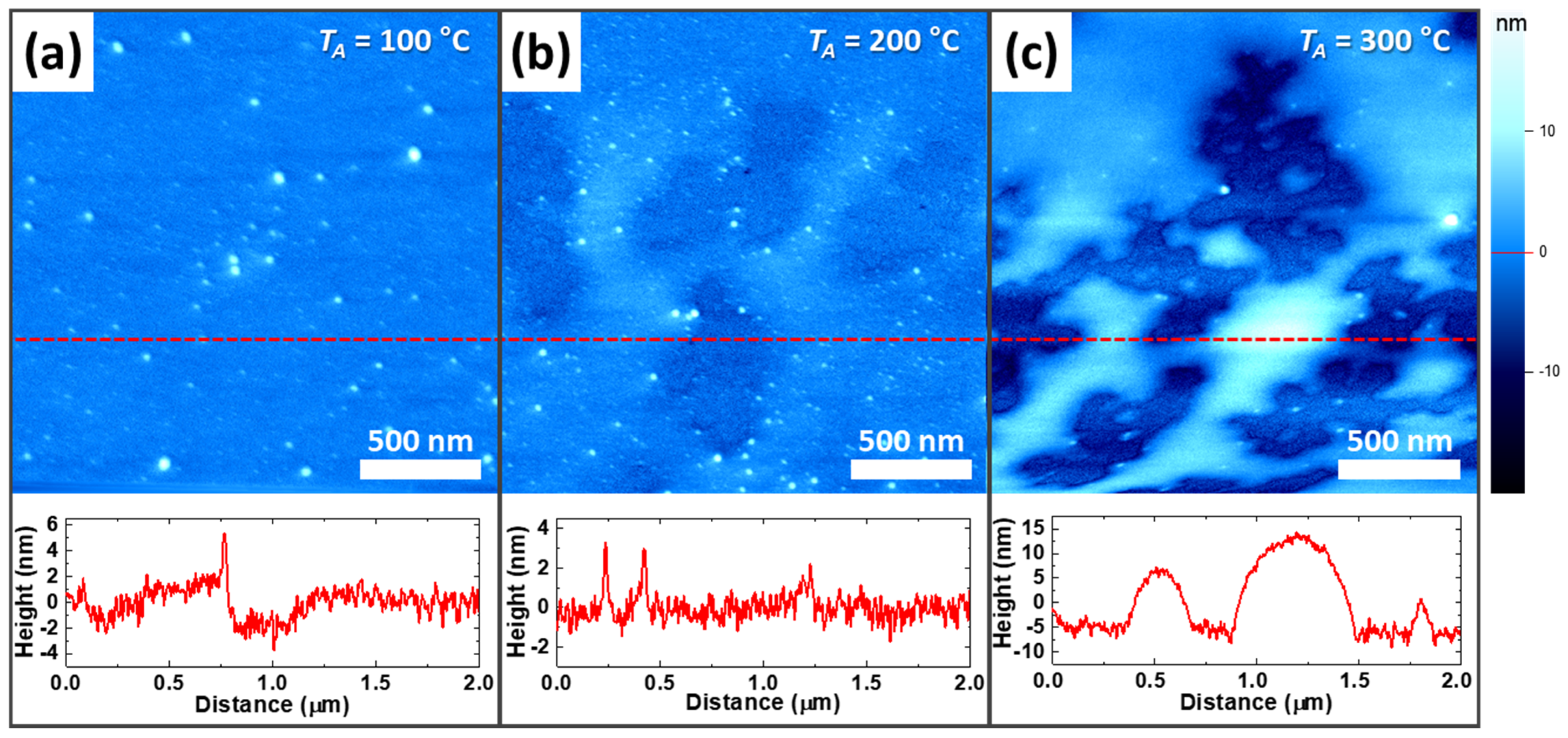 Polymers 13 01087 g004