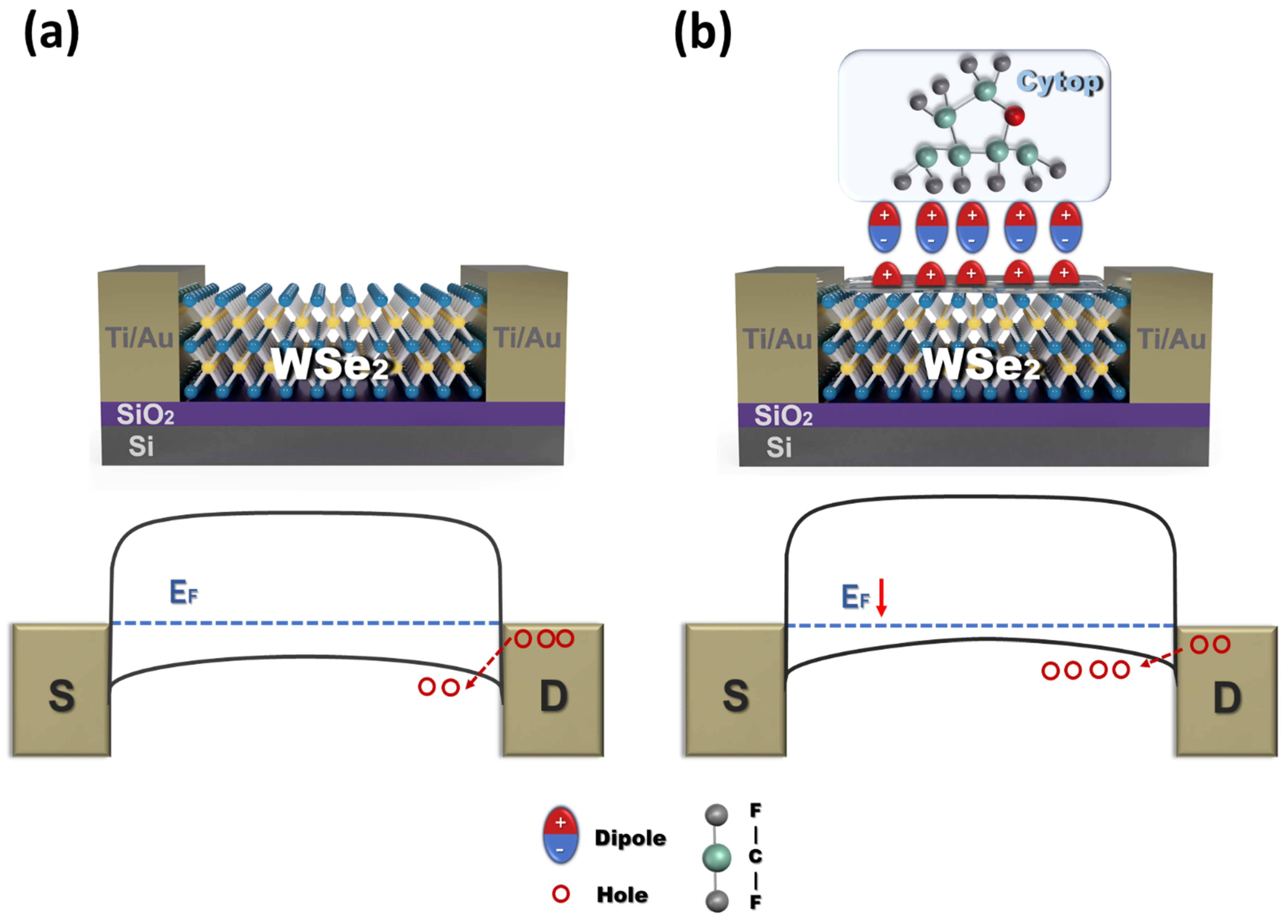 Polymers 13 01087 g006