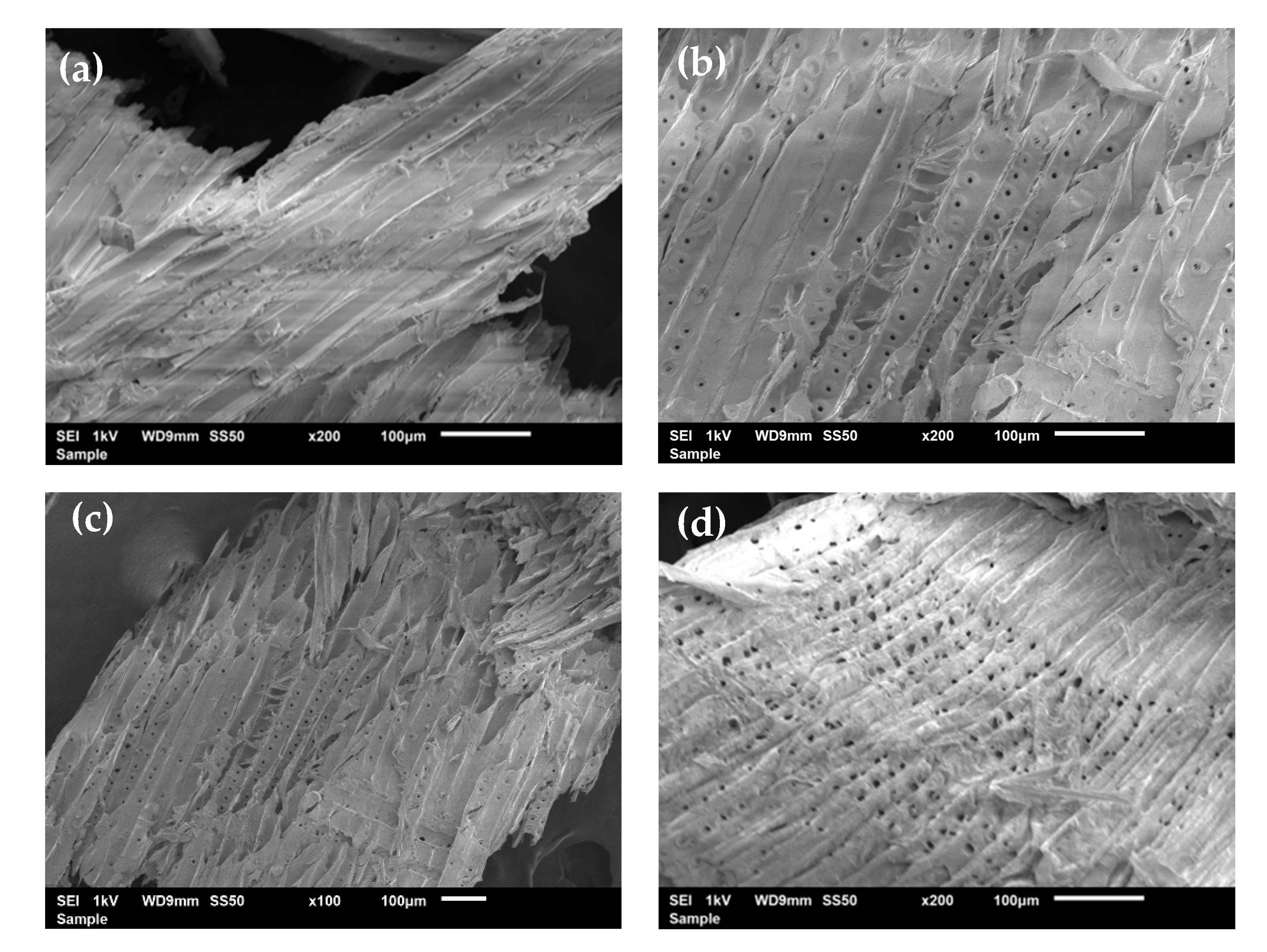Polymers 13 01090 g007