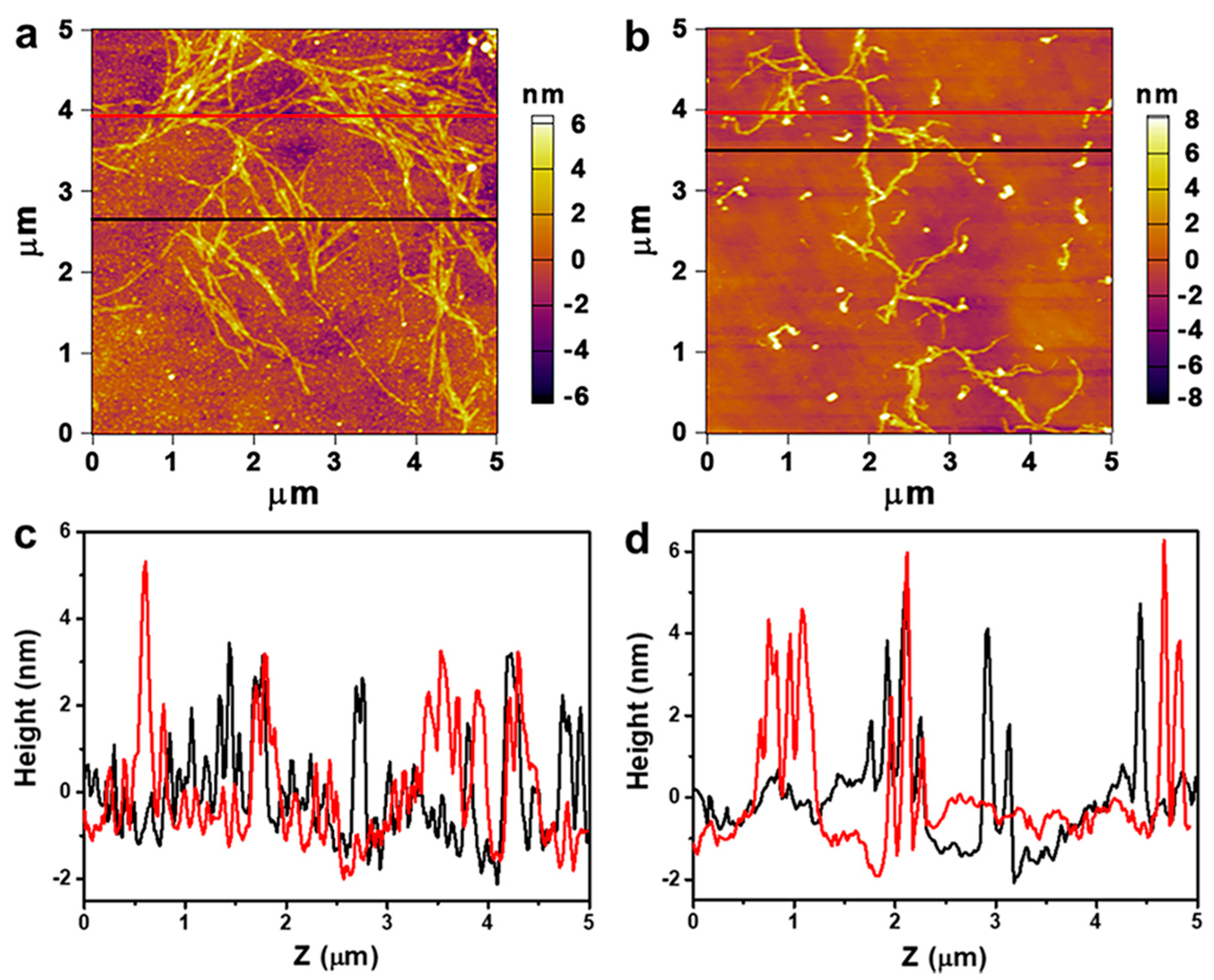 Polymers Free Full Text Dissolution And Interaction Of Cellulose Carbamate In Naoh Zno Aqueous Solutions Html