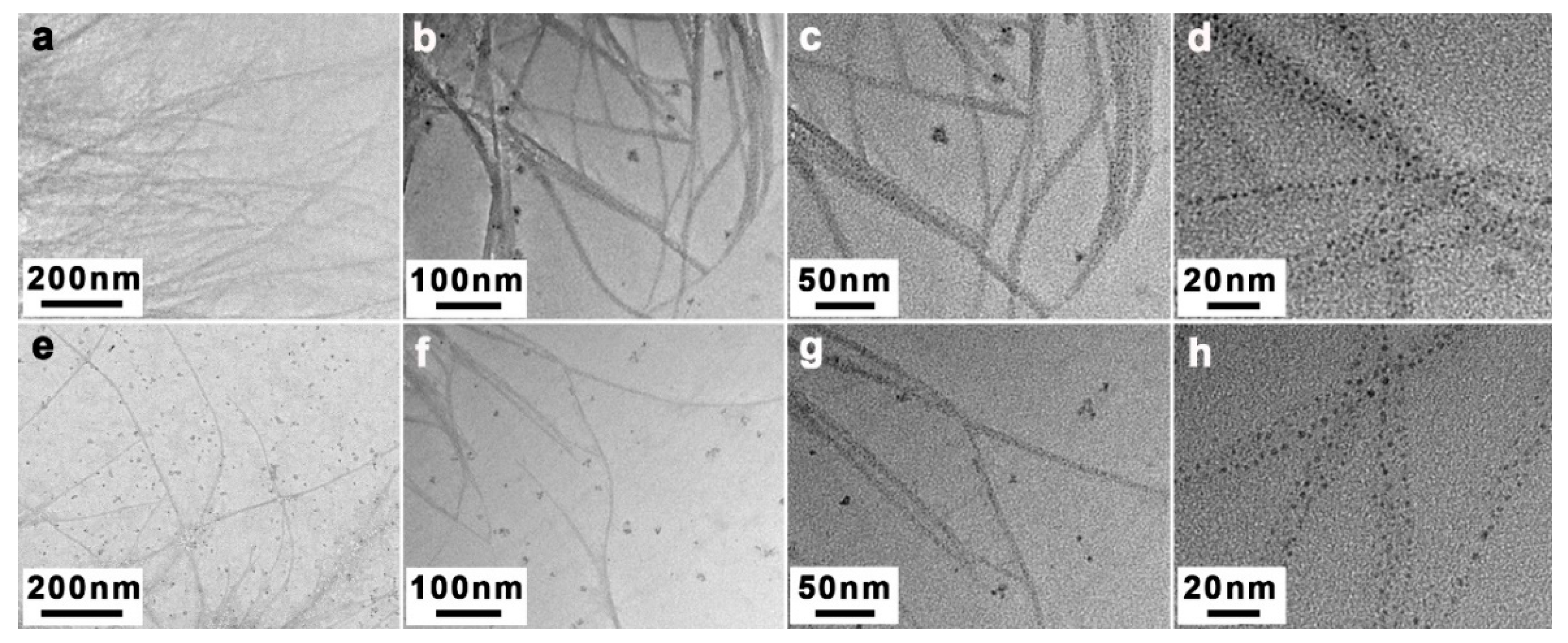 Polymers 13 01092 g008 Polymers 13 01092 g008