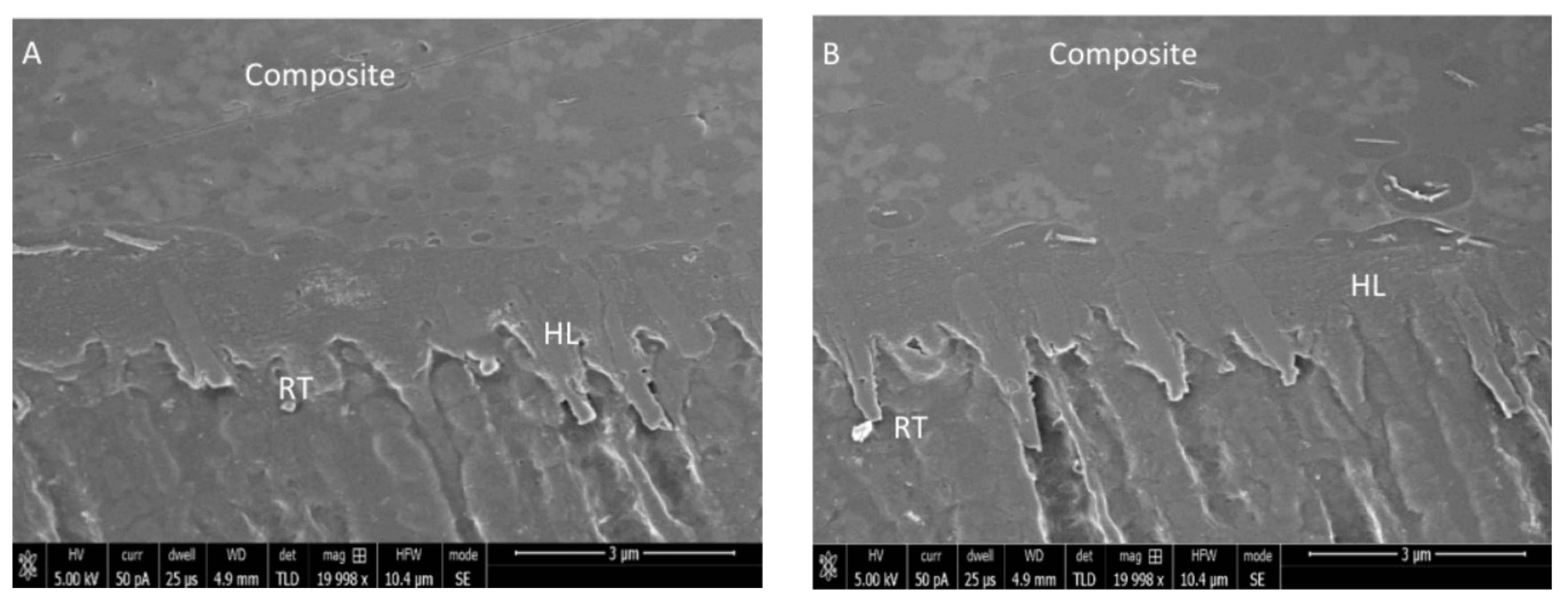 Polymers 13 01093 g002a