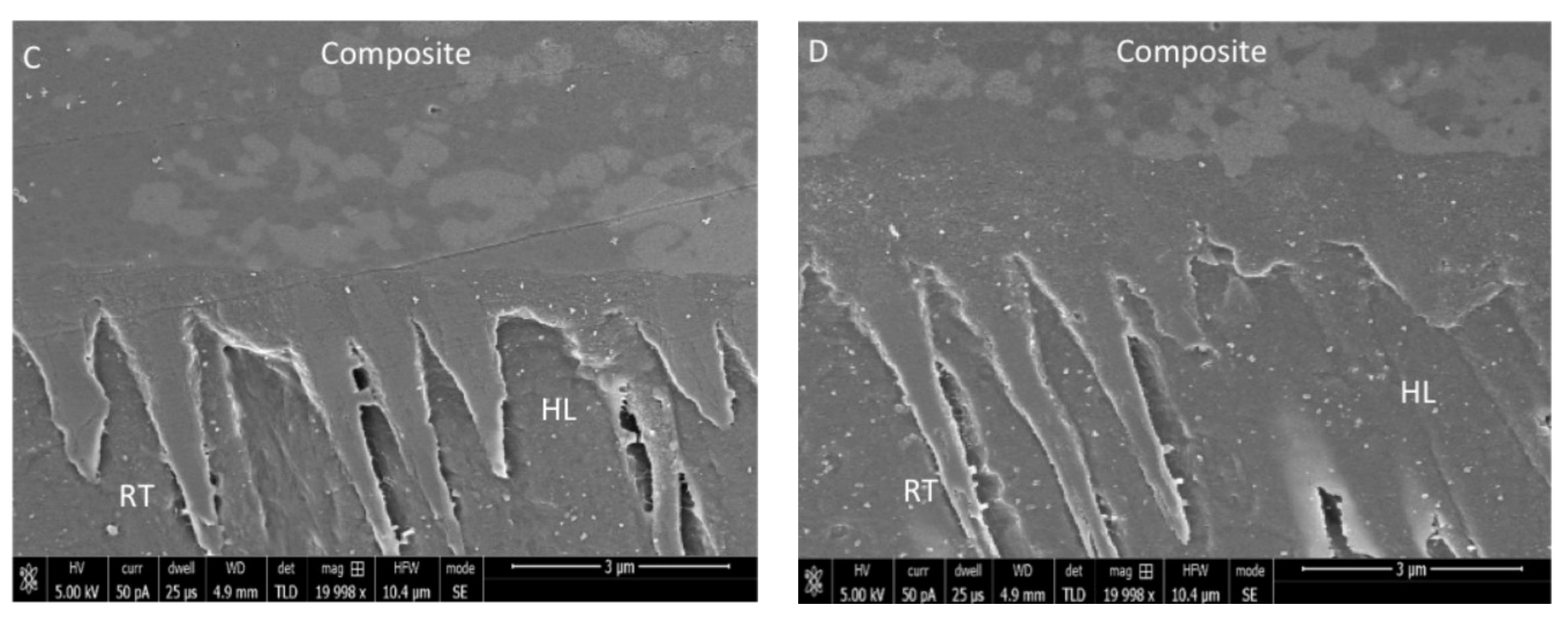 Polymers 13 01093 g002b