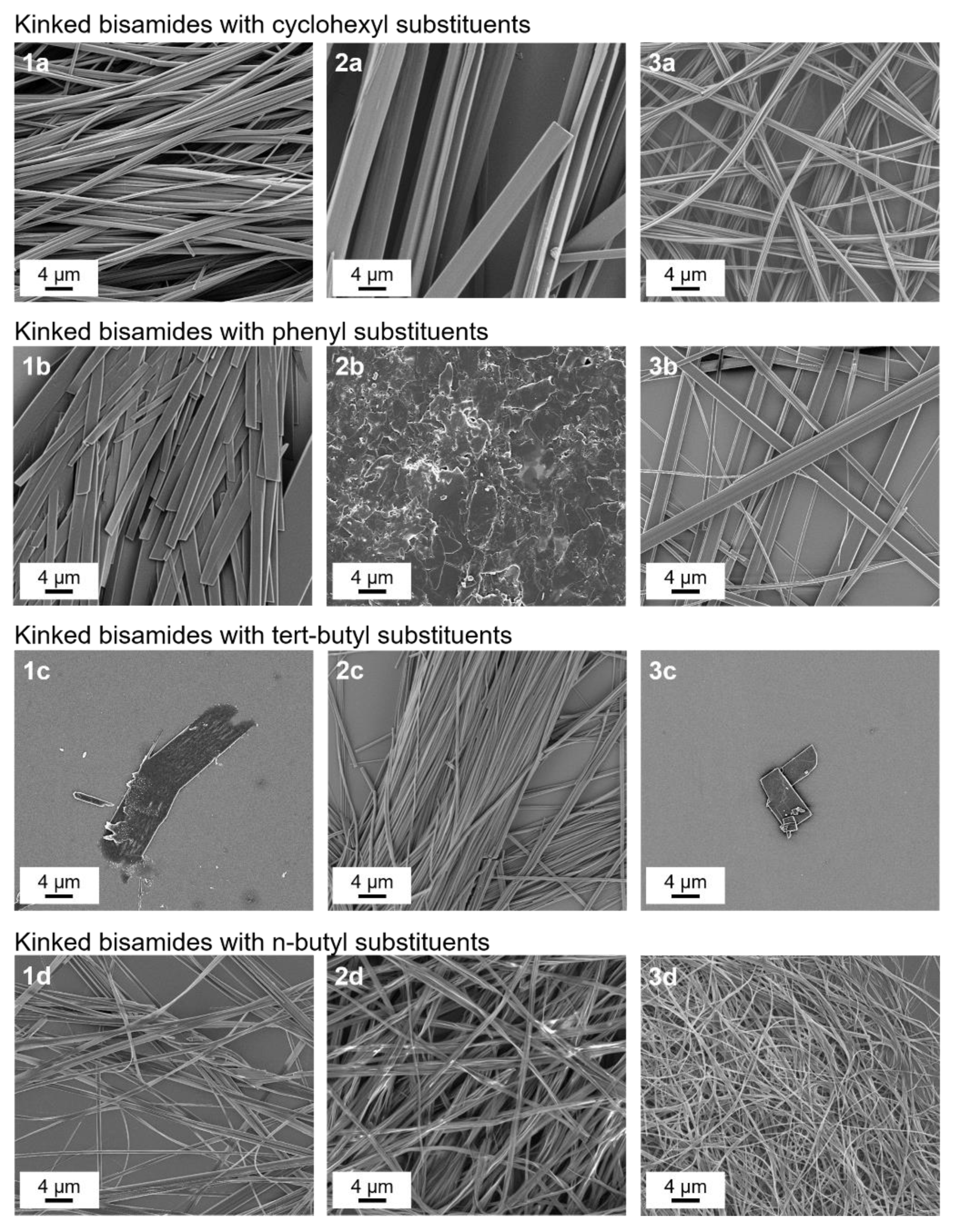 Polymers 13 01094 g001 Polymers 13 01094 g001