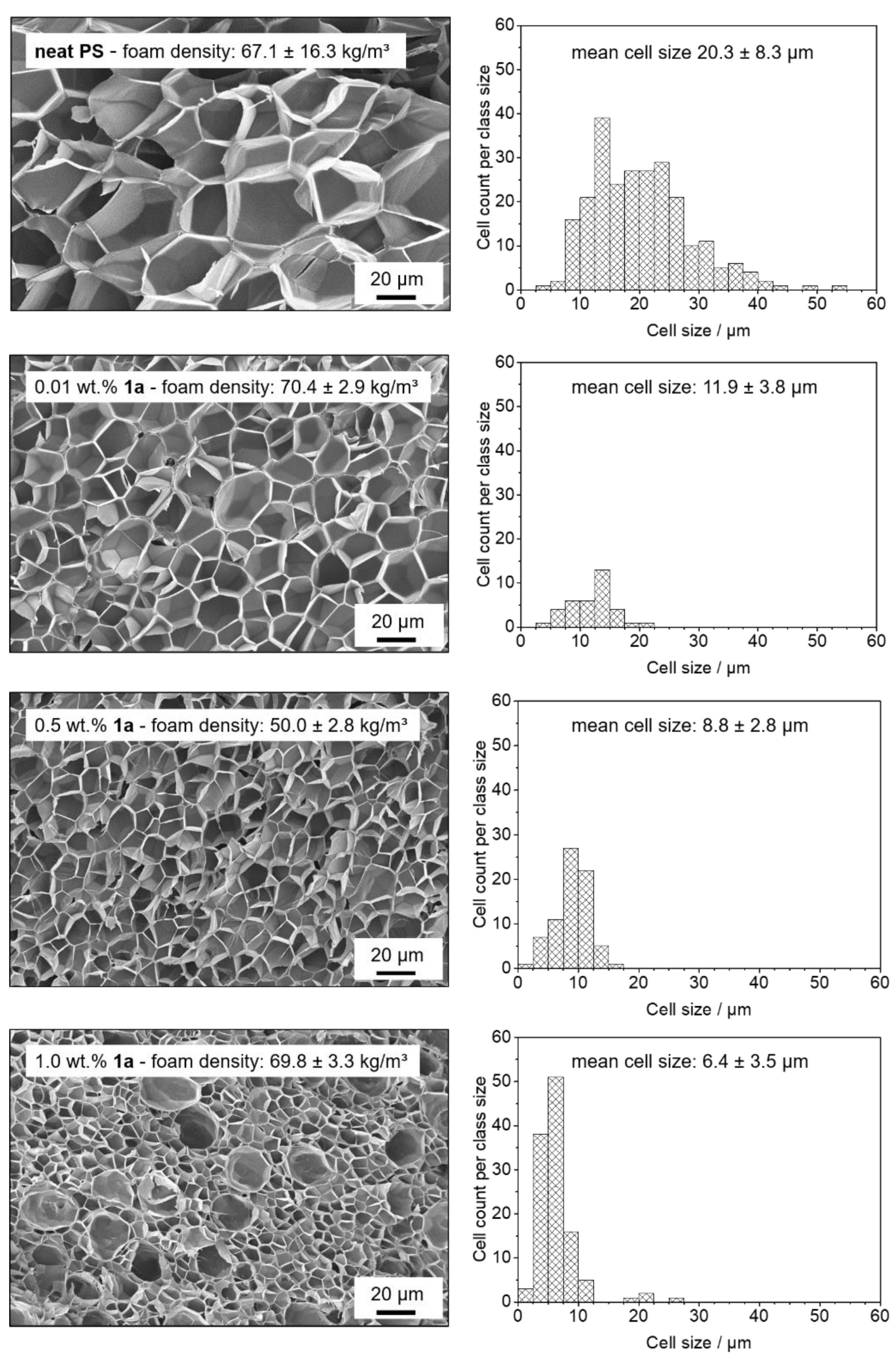 Polymers 13 01094 g003 Polymers 13 01094 g003