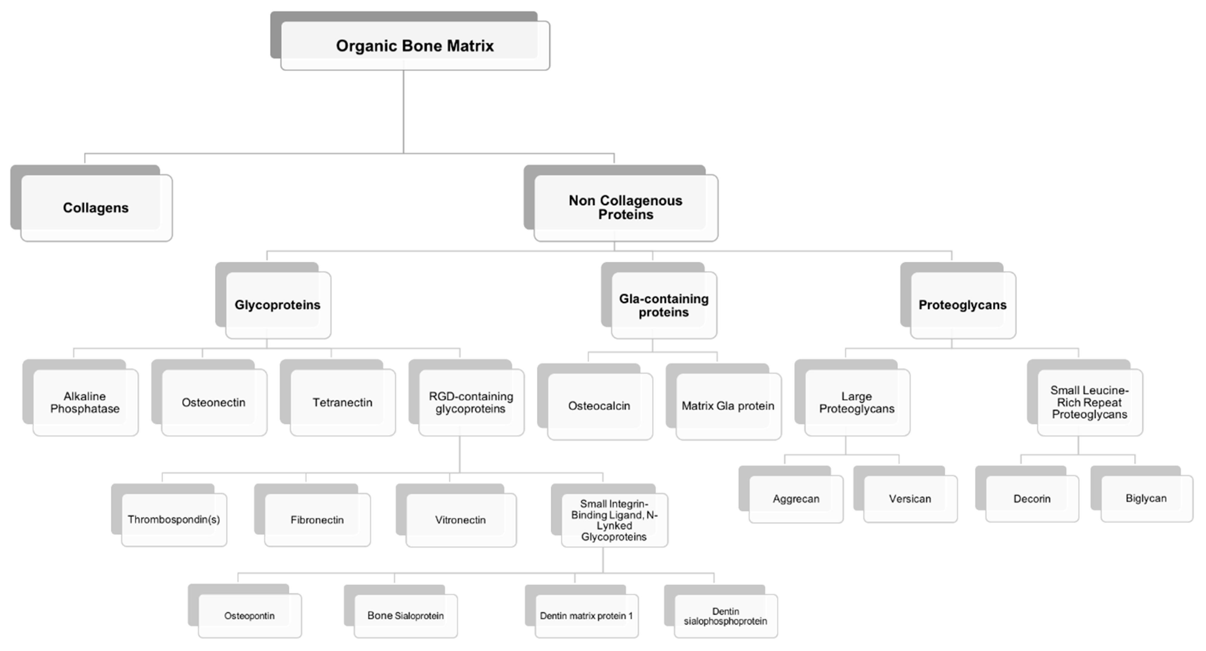 Polymers 13 01095 g003 Polymers 13 01095 g003