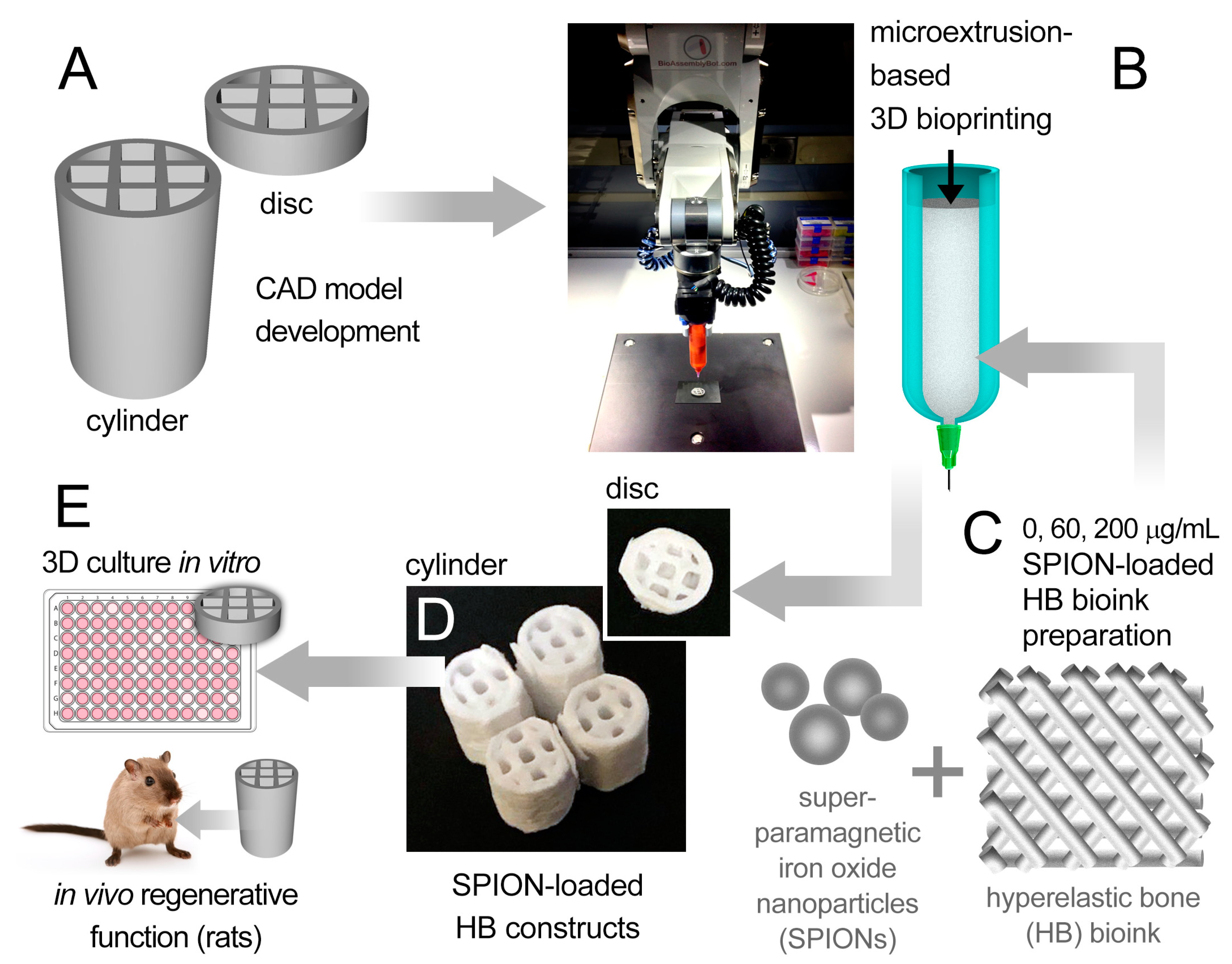 Polymers 13 01099 g001 Polymers 13 01099 g001