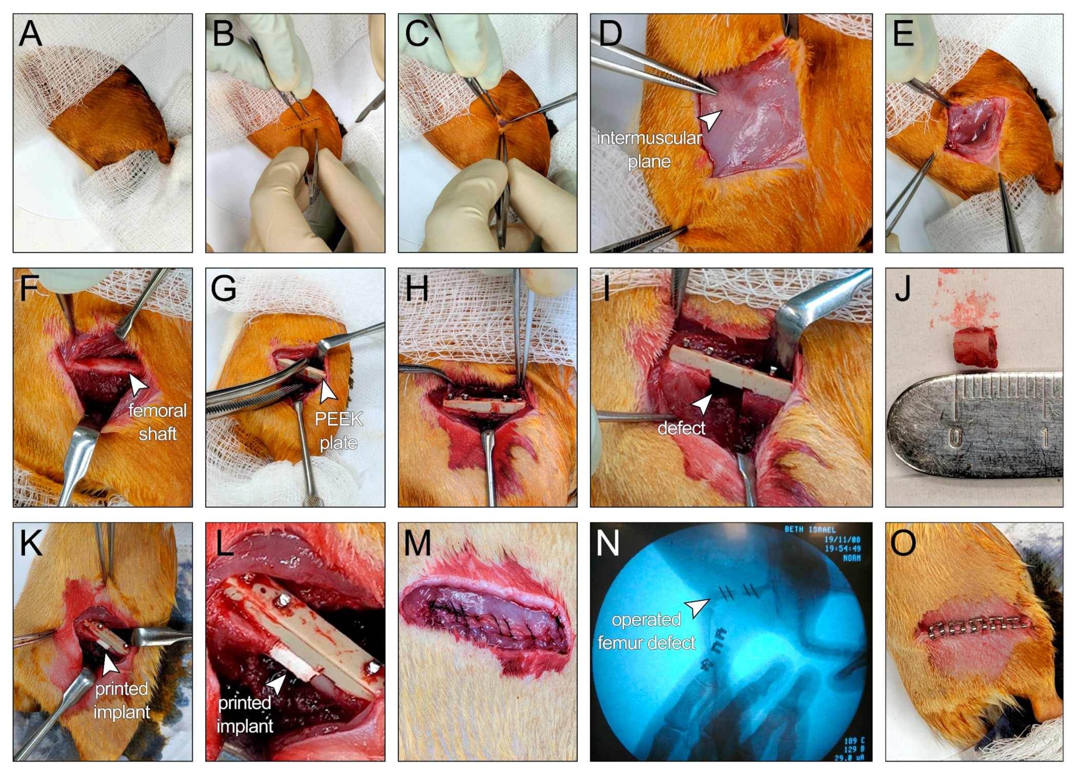 Polymers 13 01099 g005 Polymers 13 01099 g005