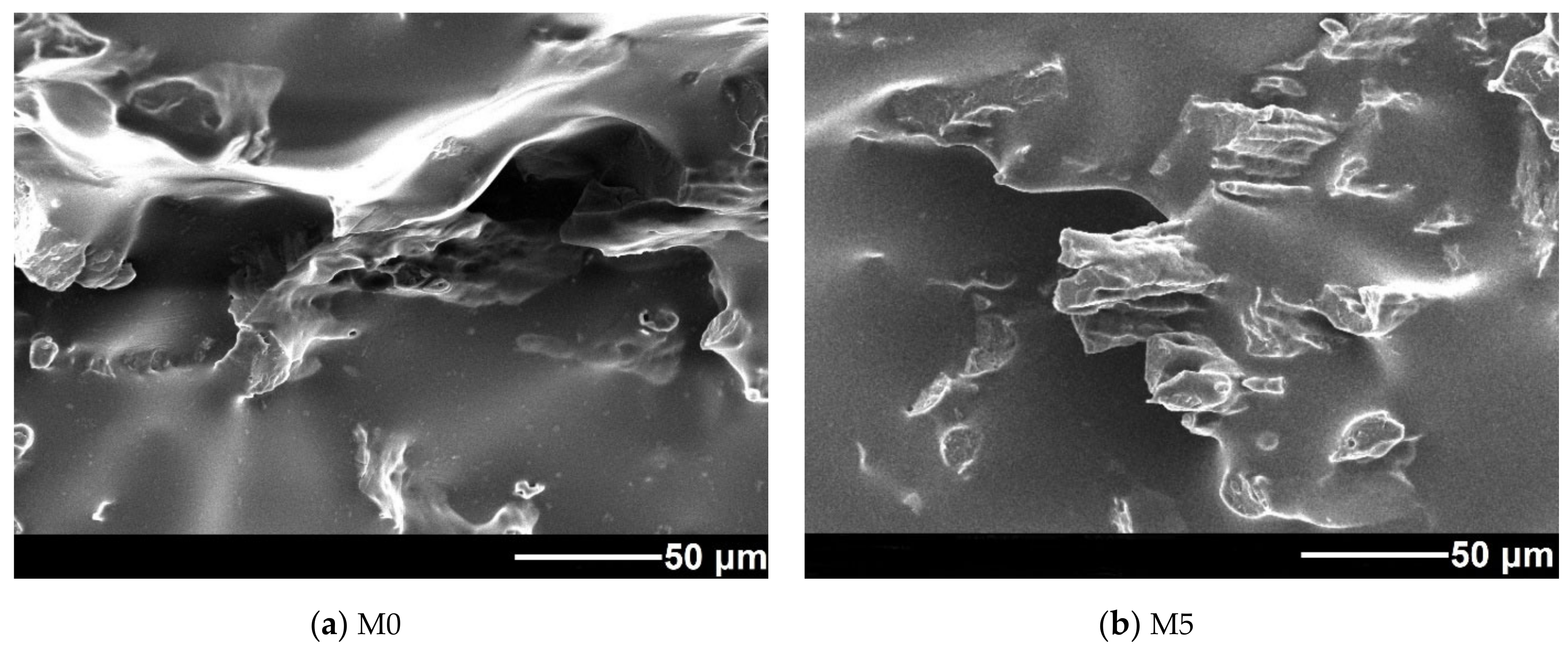 Polymers 13 01101 g008a Polymers 13 01101 g008a