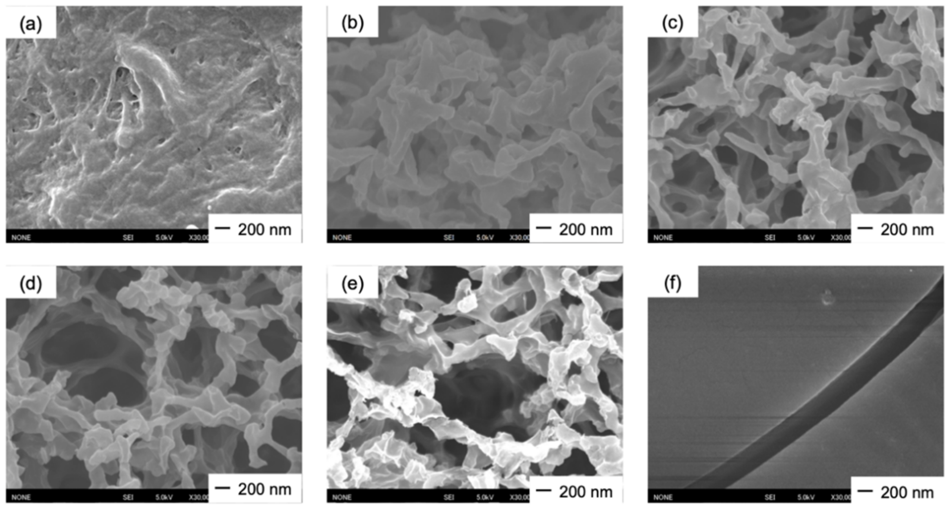 Polymers 13 01104 g003 Polymers 13 01104 g003
