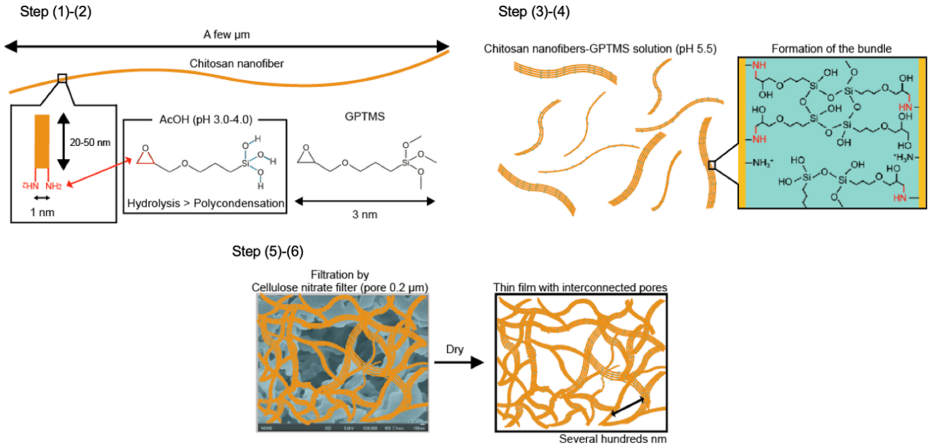 Polymers 13 01104 g012 Polymers 13 01104 g012
