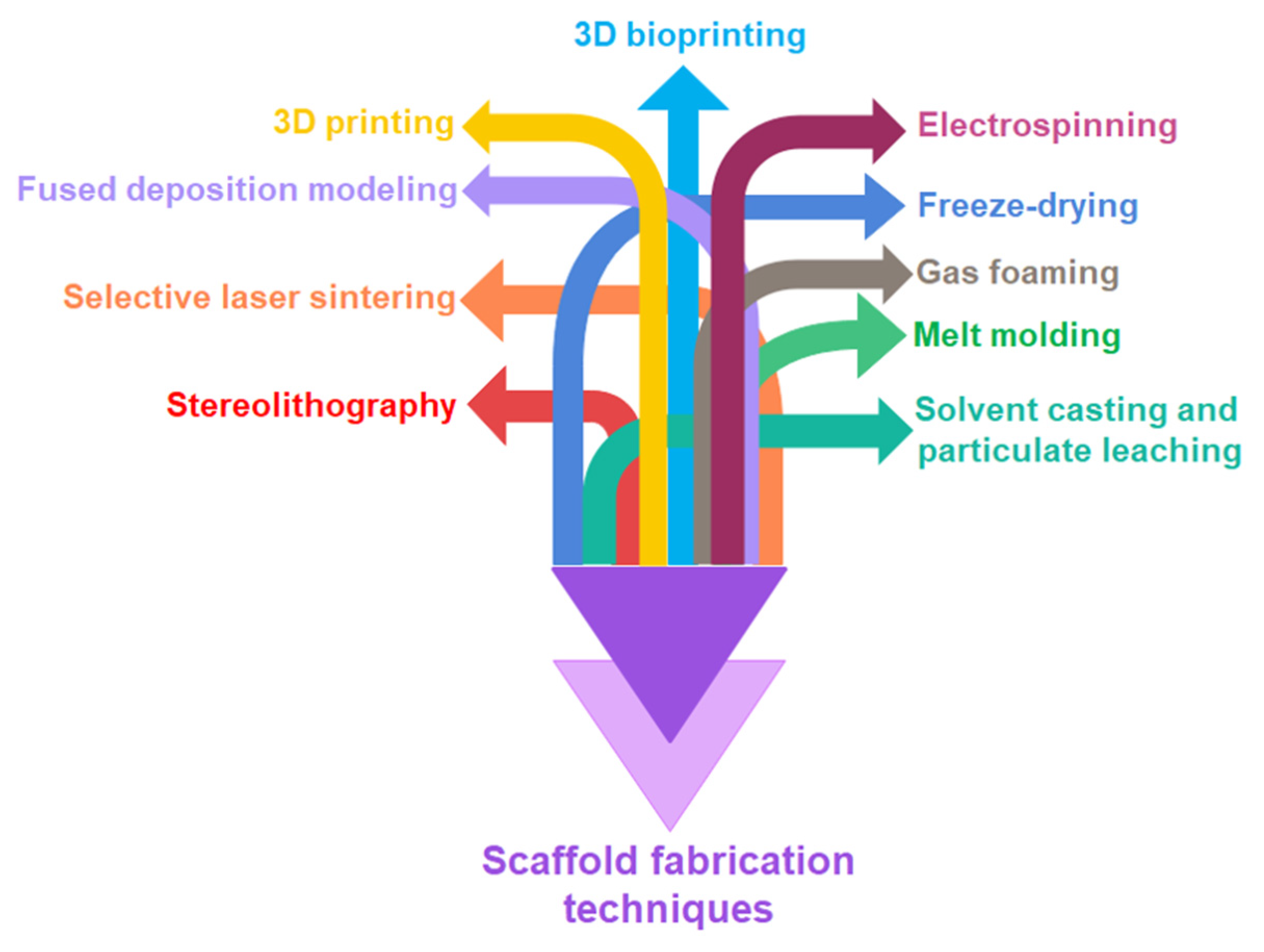 Polymers 13 01105 g007