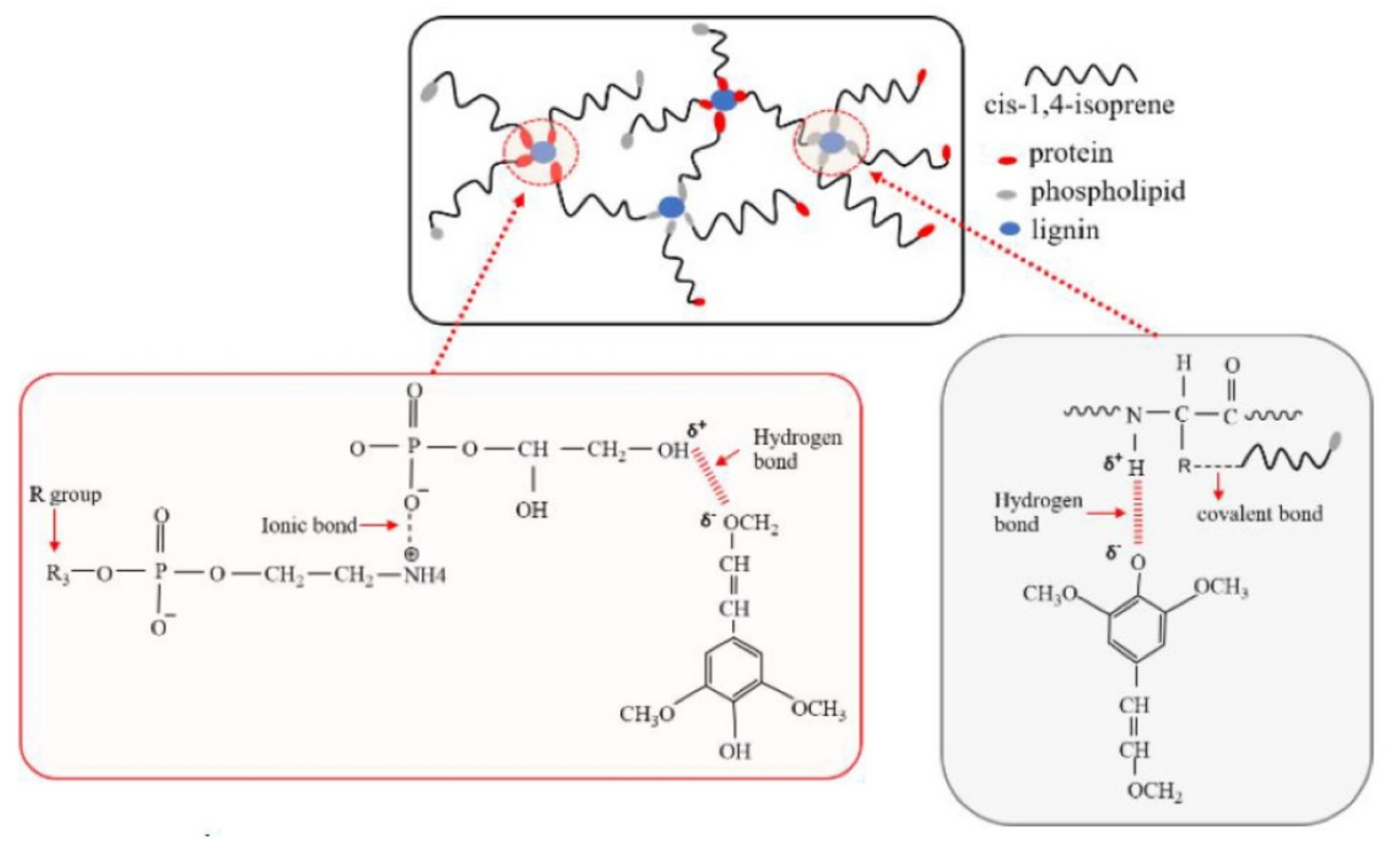Polymers 13 01109 g004 Polymers 13 01109 g004