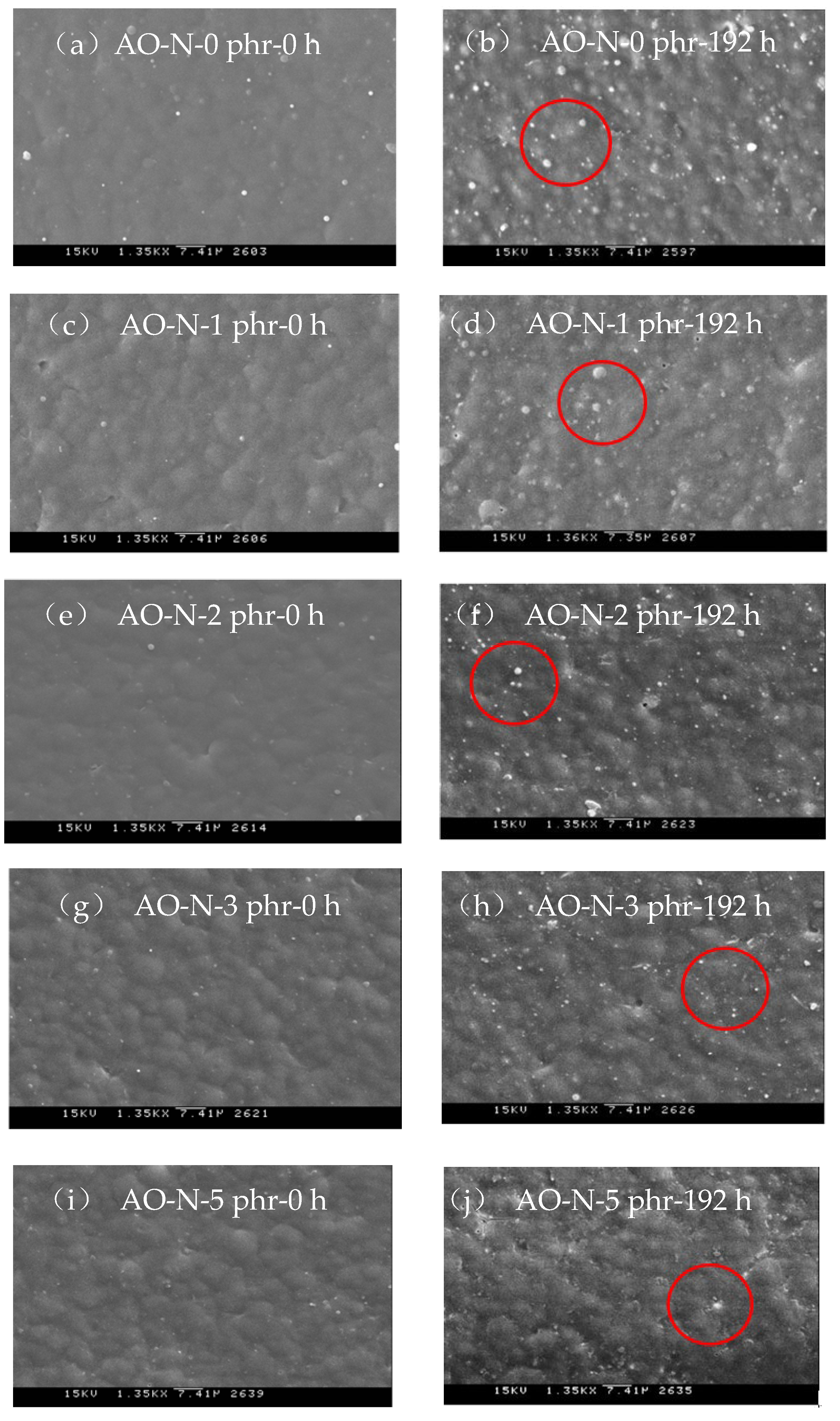 Polymers 13 01110 g005a