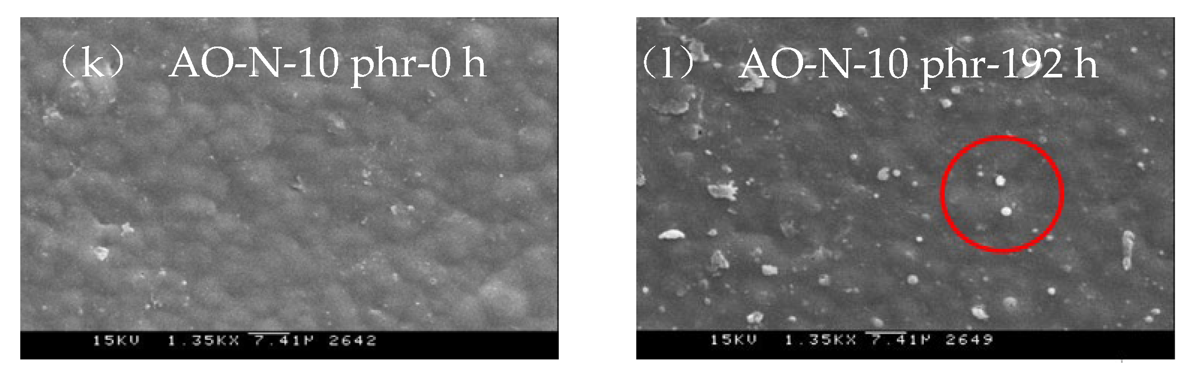Polymers 13 01110 g005b