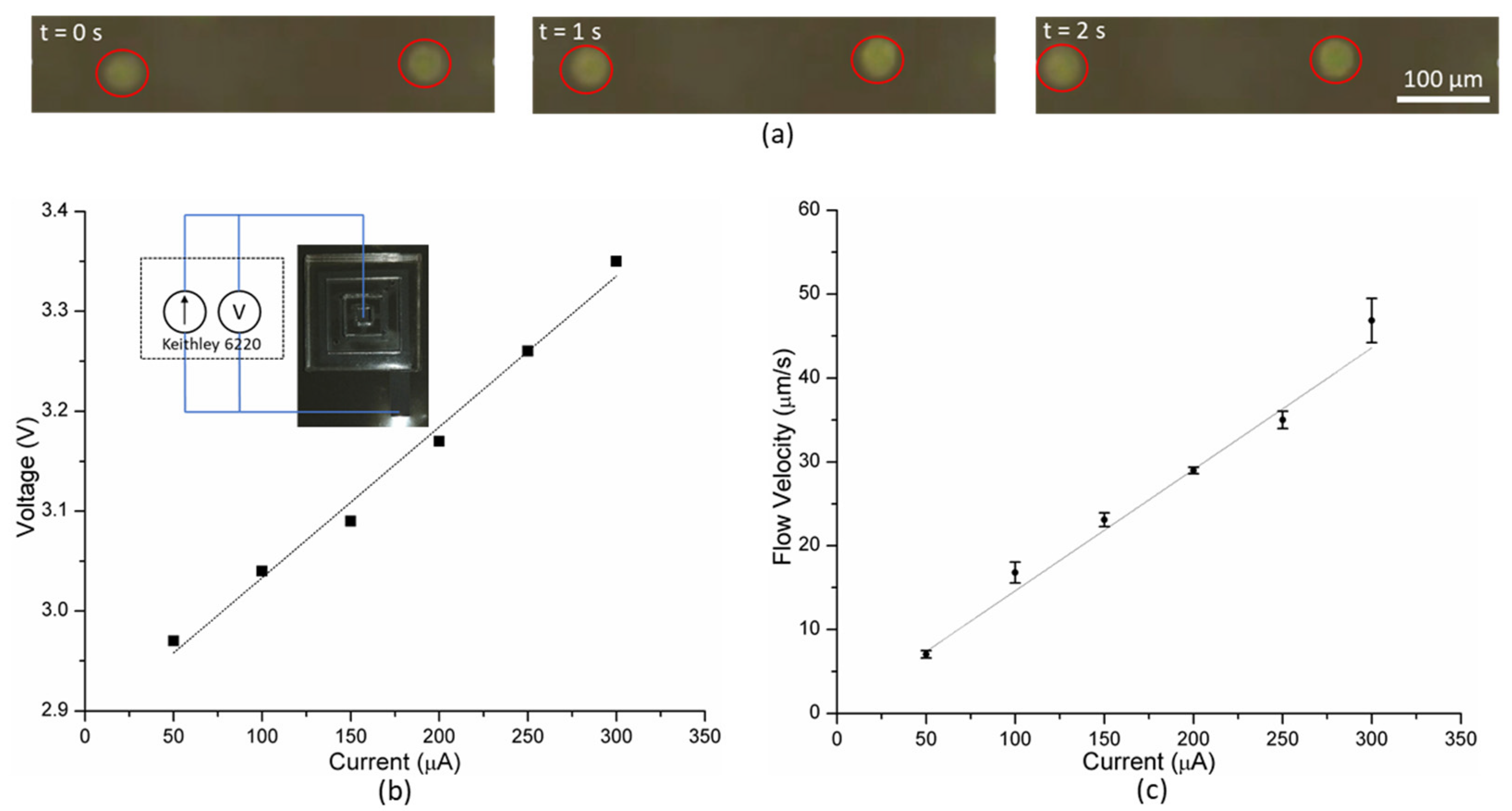 Polymers 13 01113 g004
