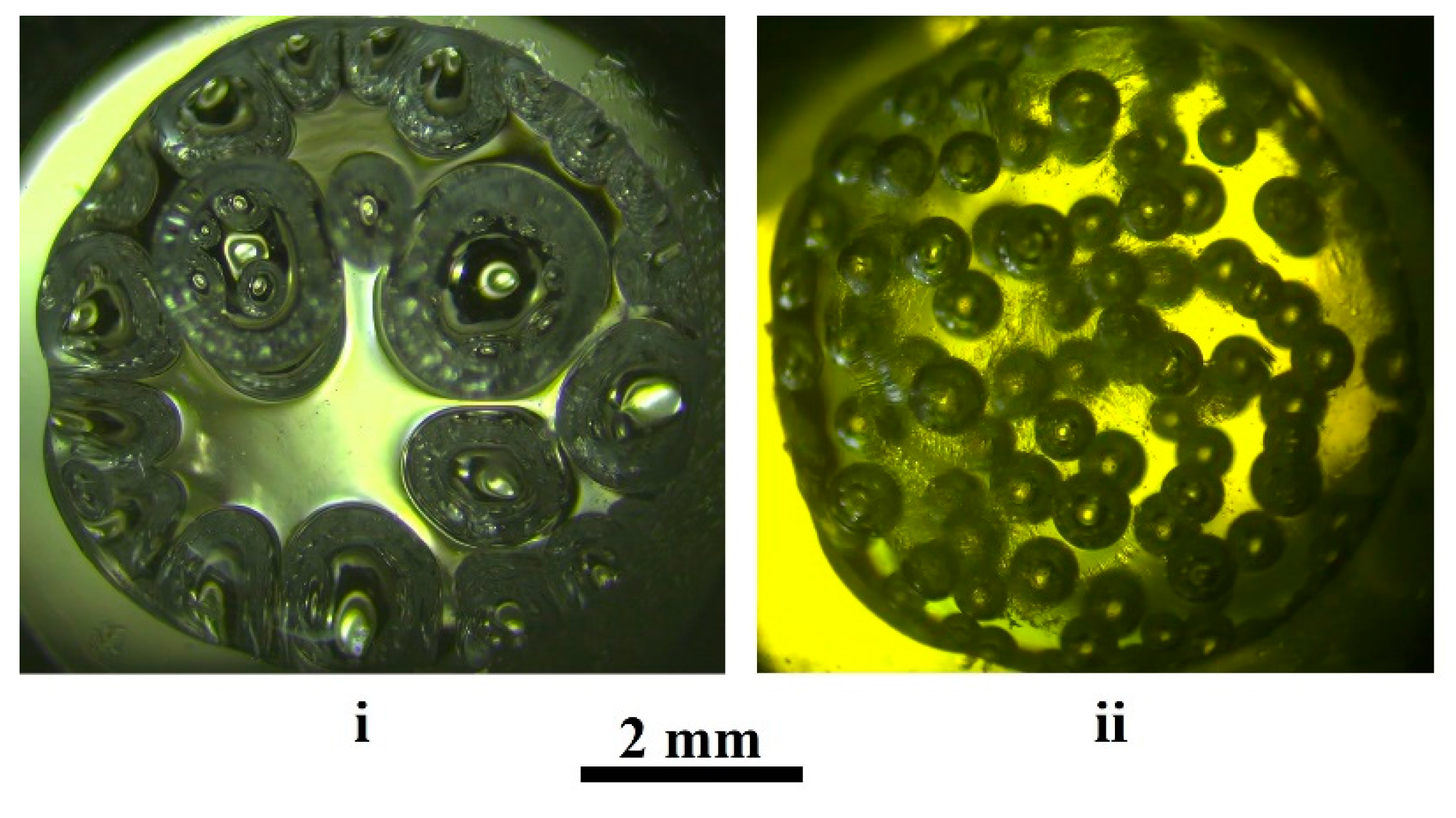 Polymers 13 01115 g001