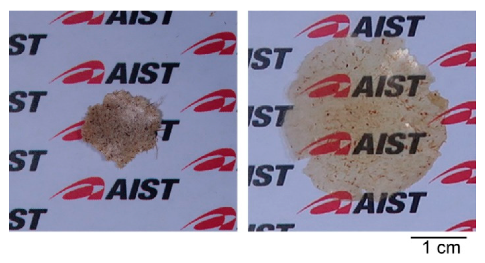 Polymers 13 01118 g010