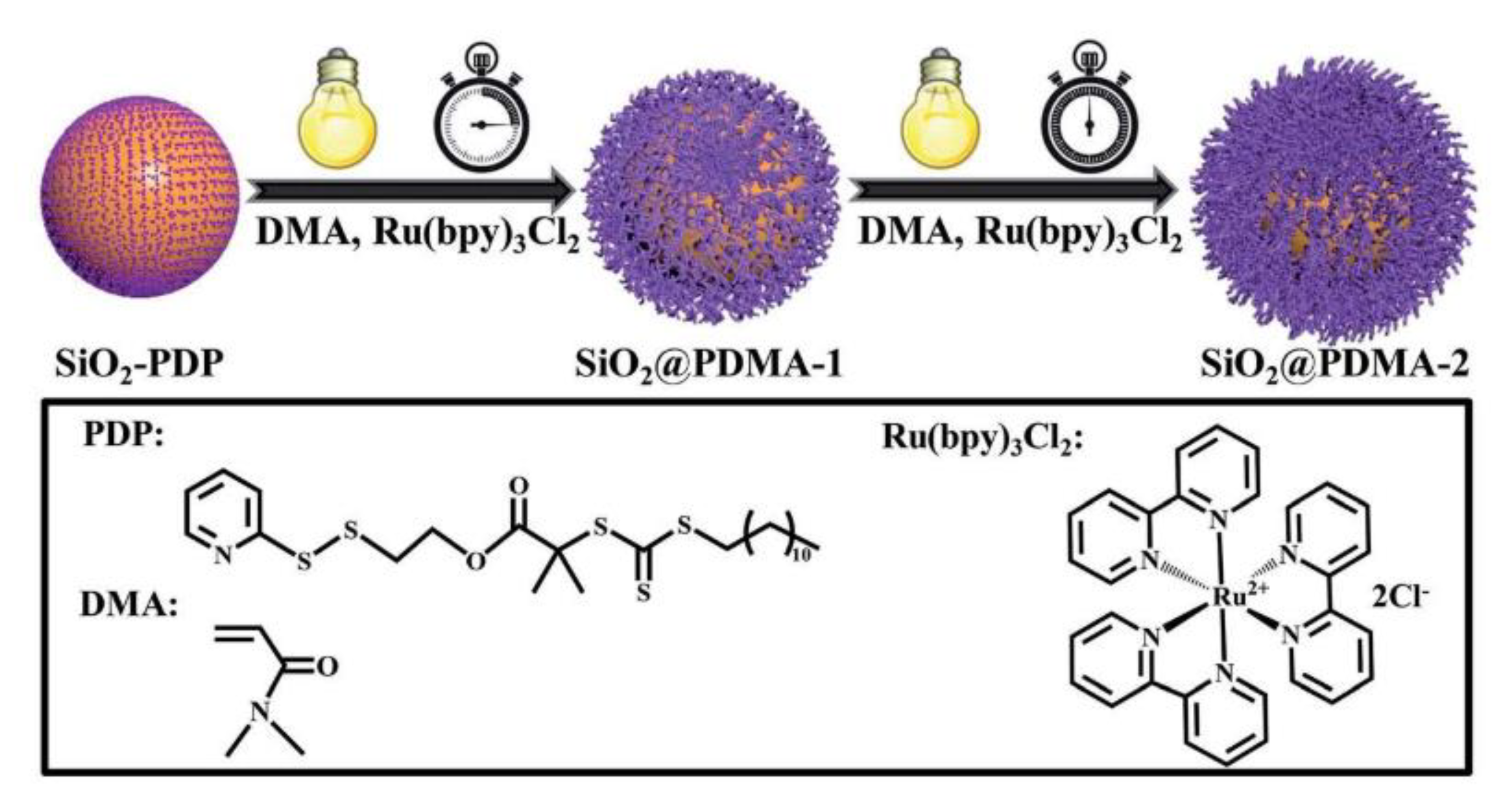 Polymers 13 01119 g010